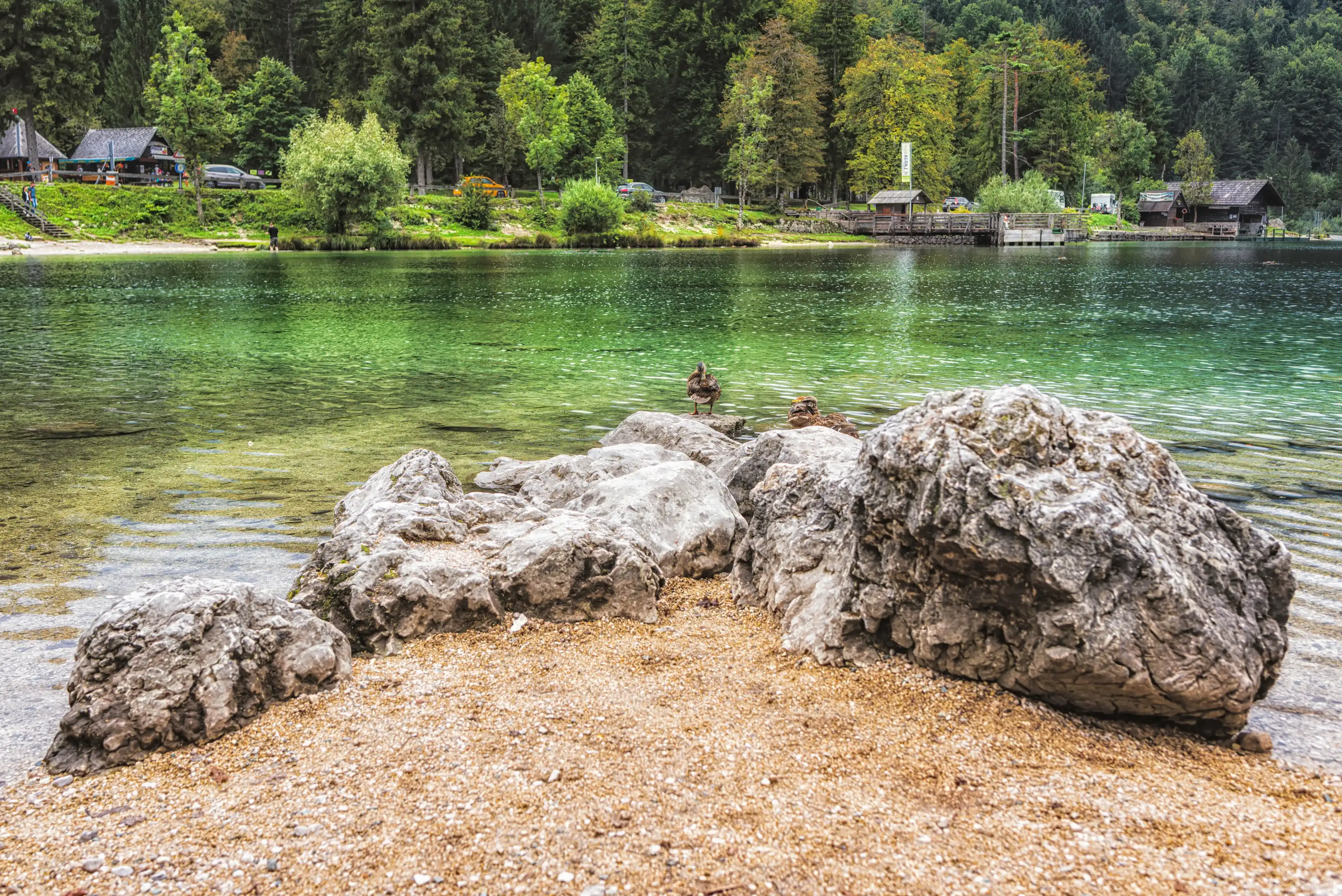 Best Bohinjska Bistrica hotels. Cheap hotels in Bohinjska Bistrica, Slovenia Best Bohinjska Bistrica hotels. Cheap hotels in Bohinjska Bistrica, Slovenia