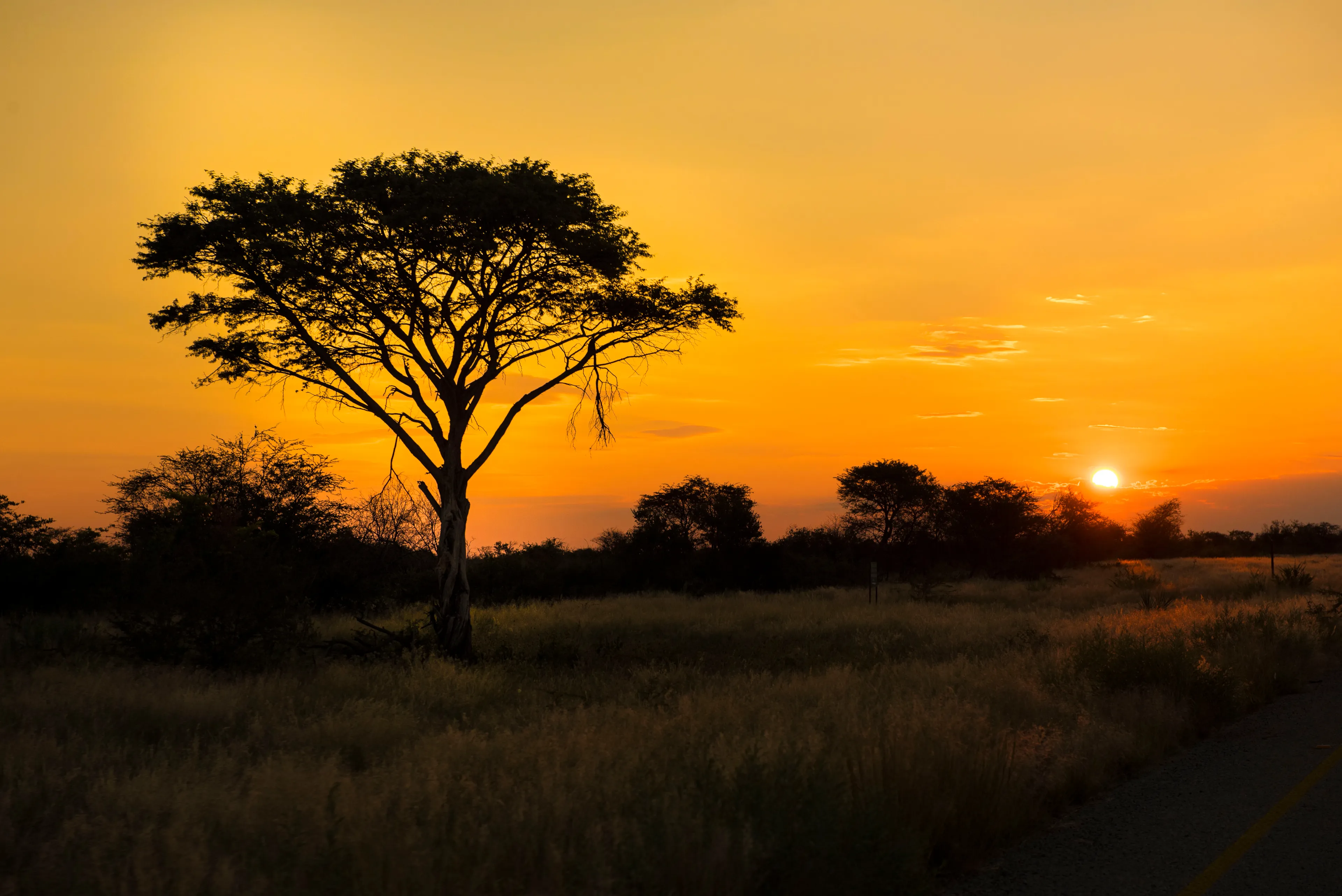 Sunset in Bostwana