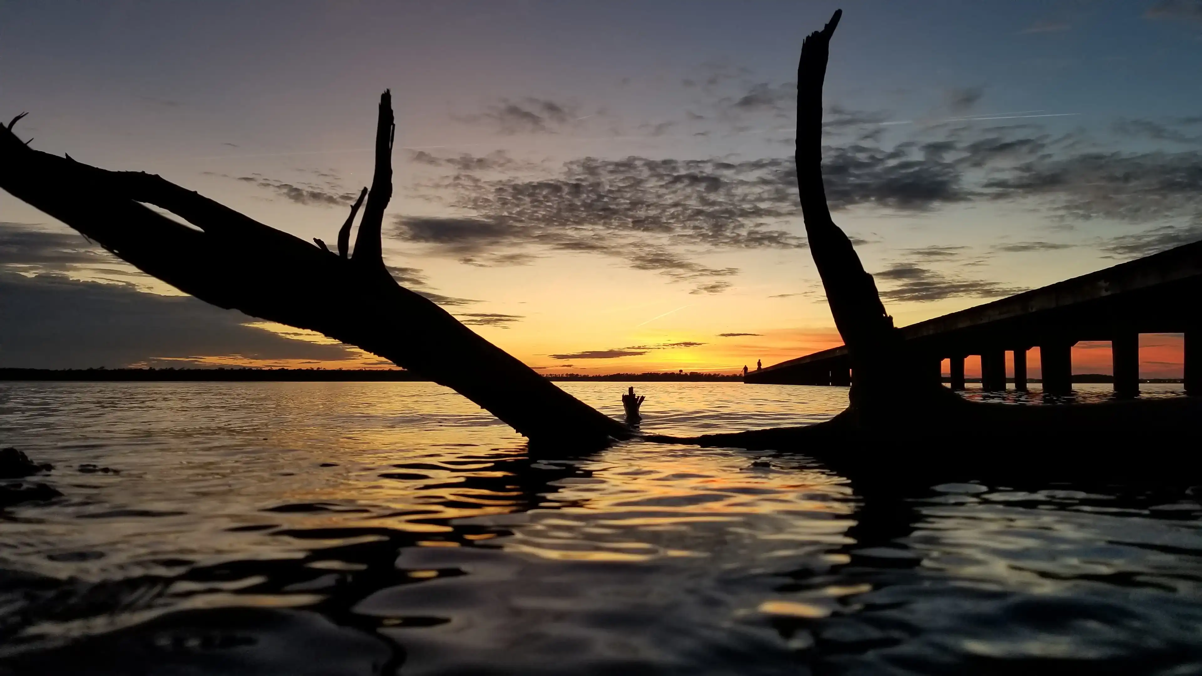 Best Jacksonville hotels. Cheap hotels in Jacksonville, North Carolina, United States Best Jacksonville hotels. Cheap hotels in Jacksonville, North Carolina, United States