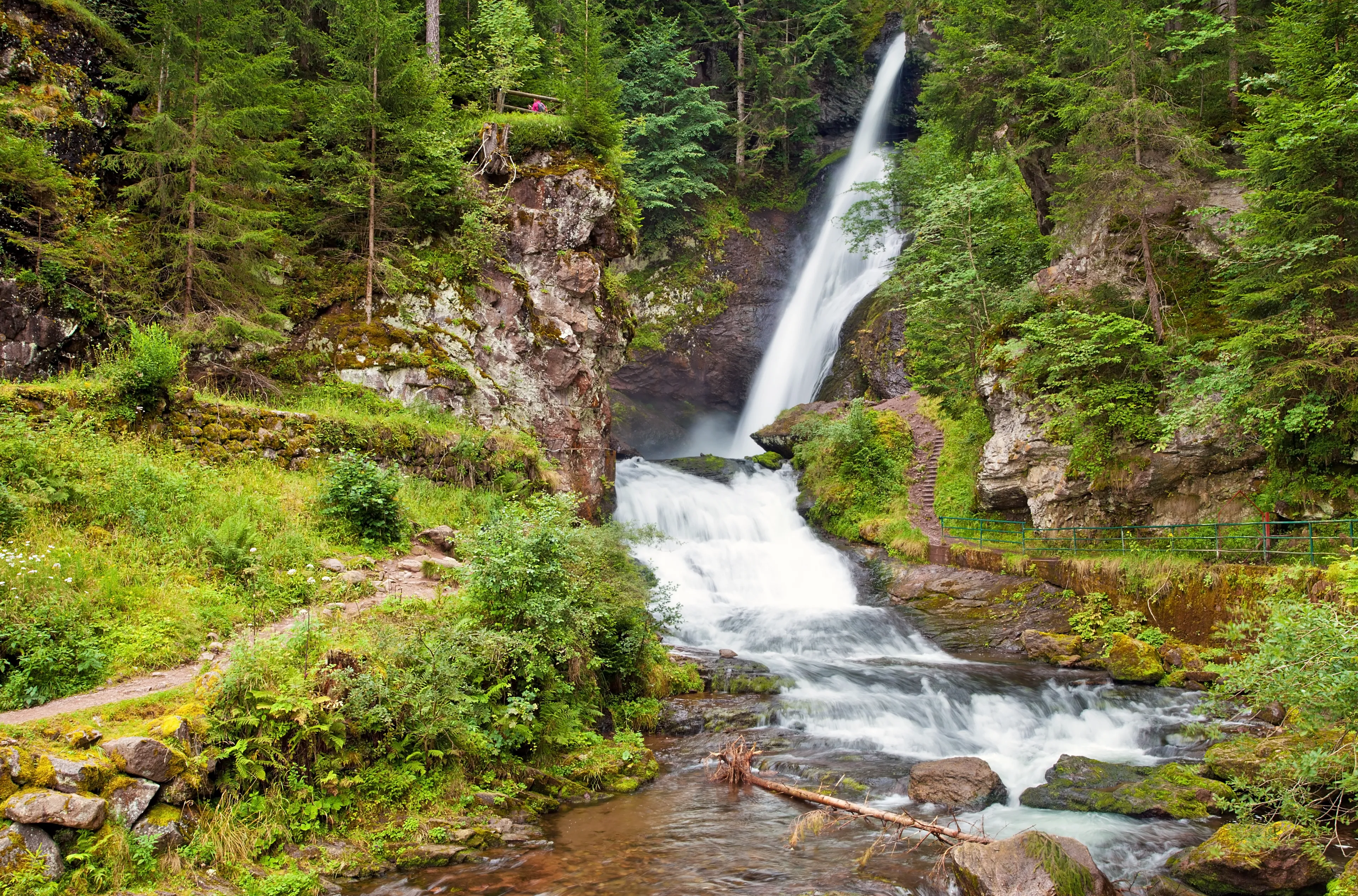 Best Cavalese hotels. Cheap hotels in Cavalese, Italy