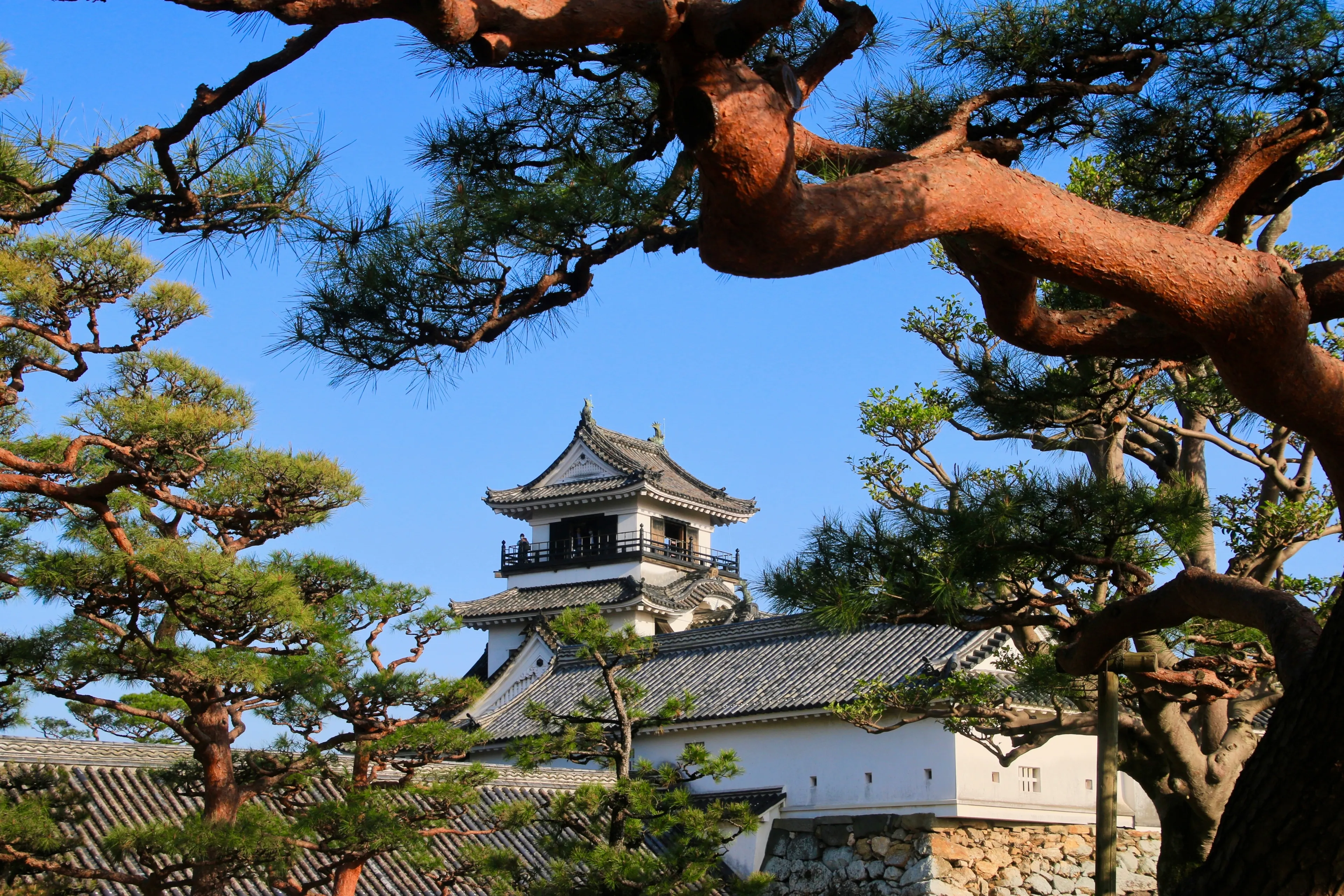 Kochi Castle.(Kochi City, Kochi Prefecture)