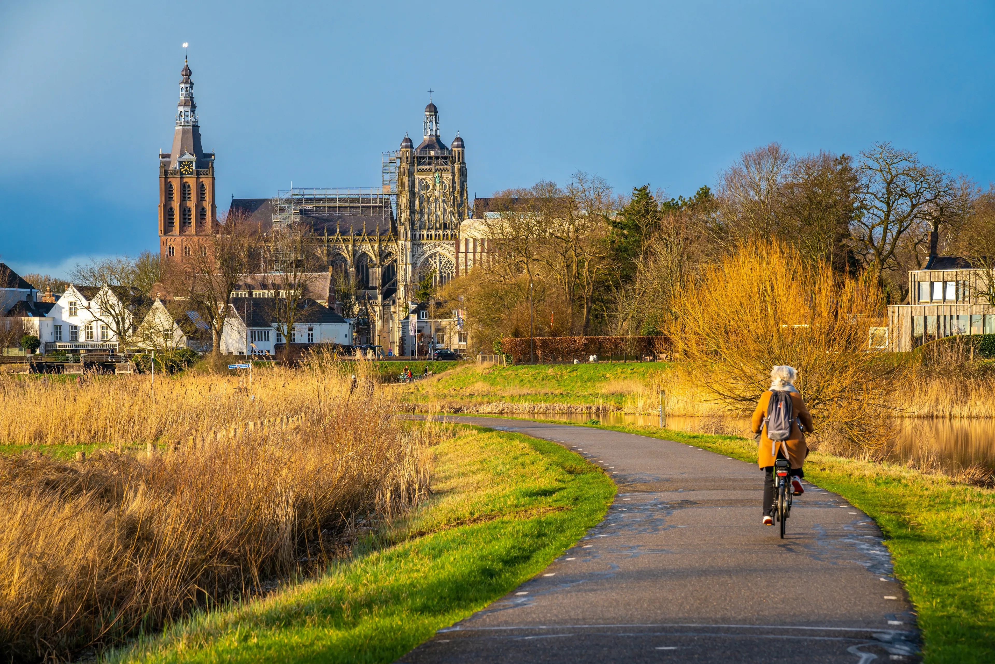 St. John's Cathedral in 's-Hertogenbosch seen from Bossche Broek nature reserve
