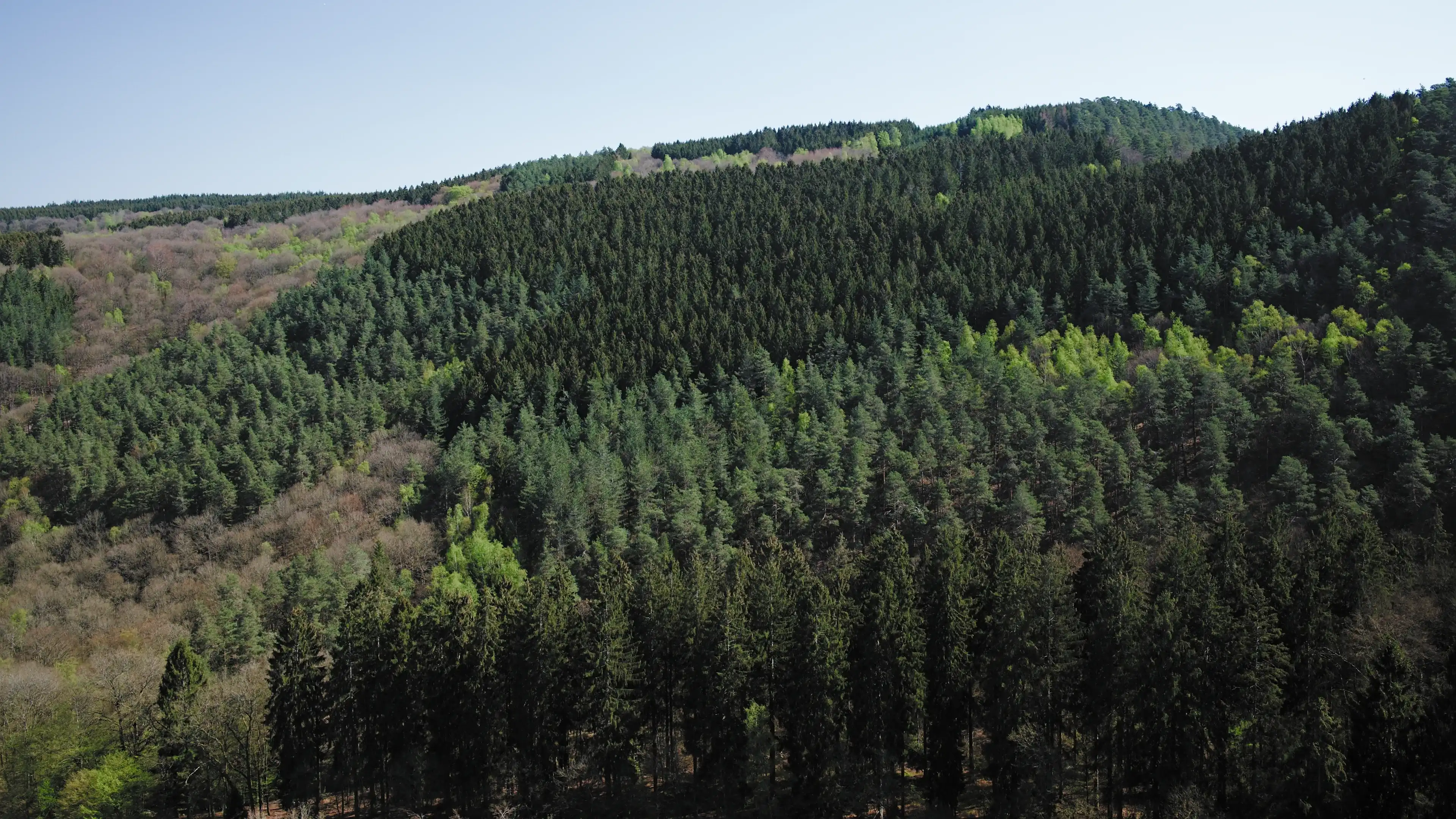 Forest views at Ninglinspo-trail Aywaille (belgium) Forest views at Ninglinspo-trail Aywaille (belgium)