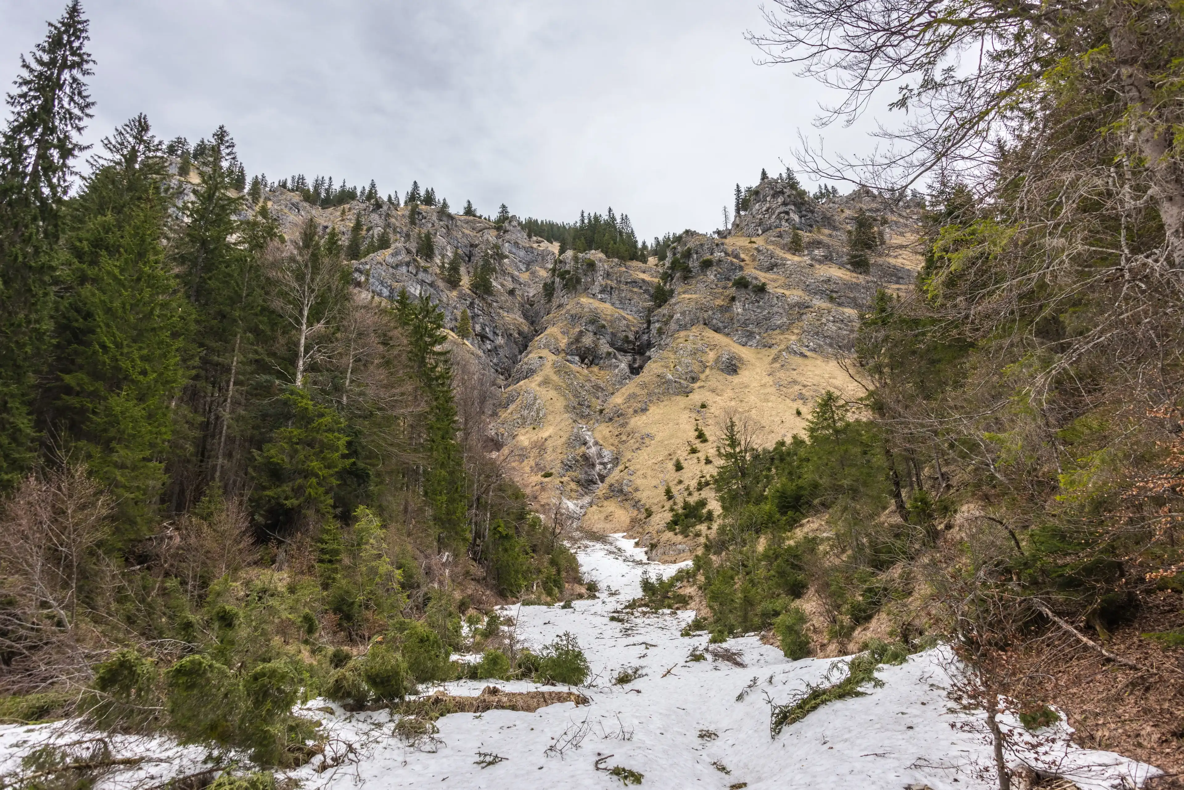 Best Halblech hotels. Cheap hotels in Halblech, Germany Best Halblech hotels. Cheap hotels in Halblech, Germany