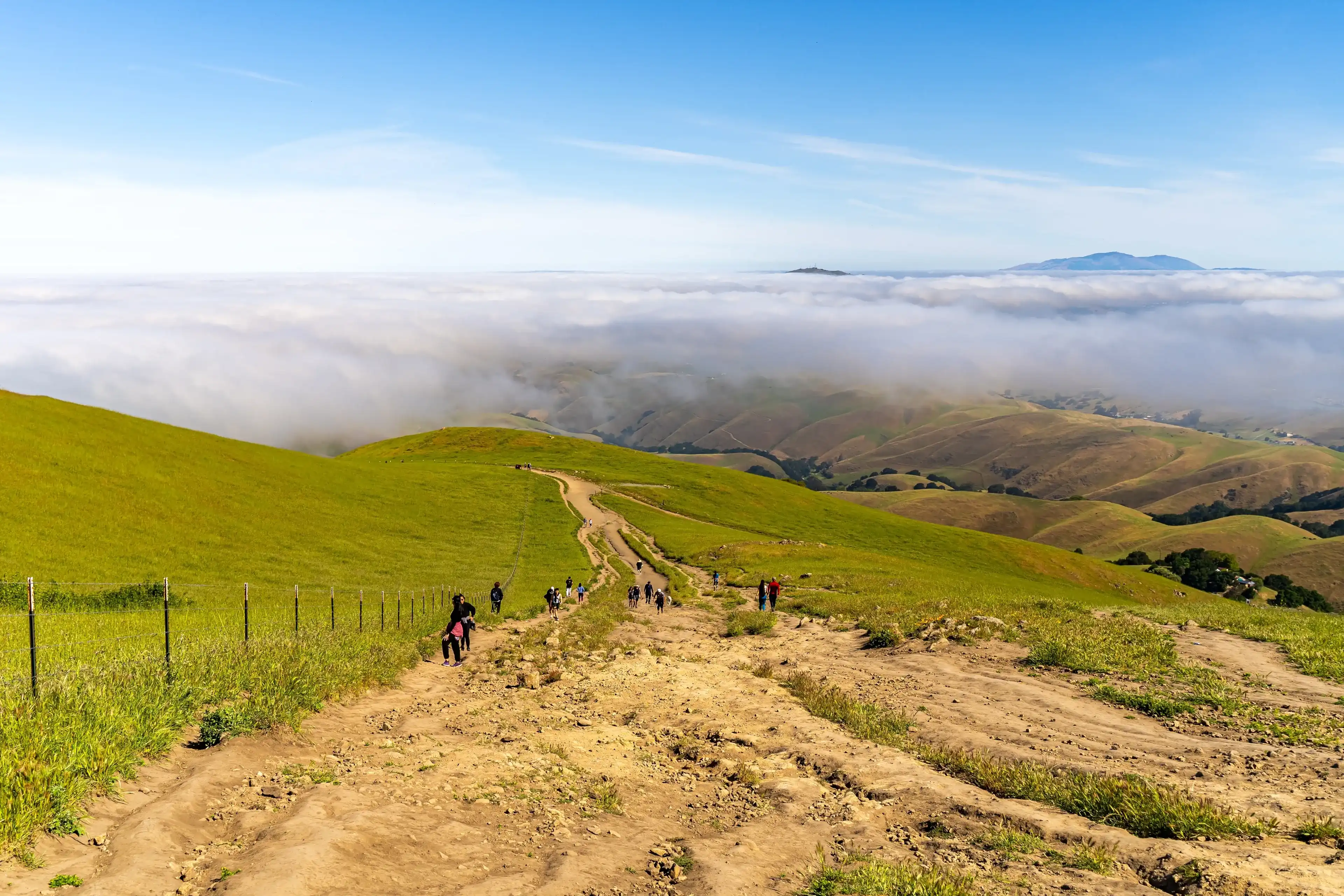 Best Fremont hotels. Cheap hotels in Fremont, California, United States Best Fremont hotels. Cheap hotels in Fremont, California, United States