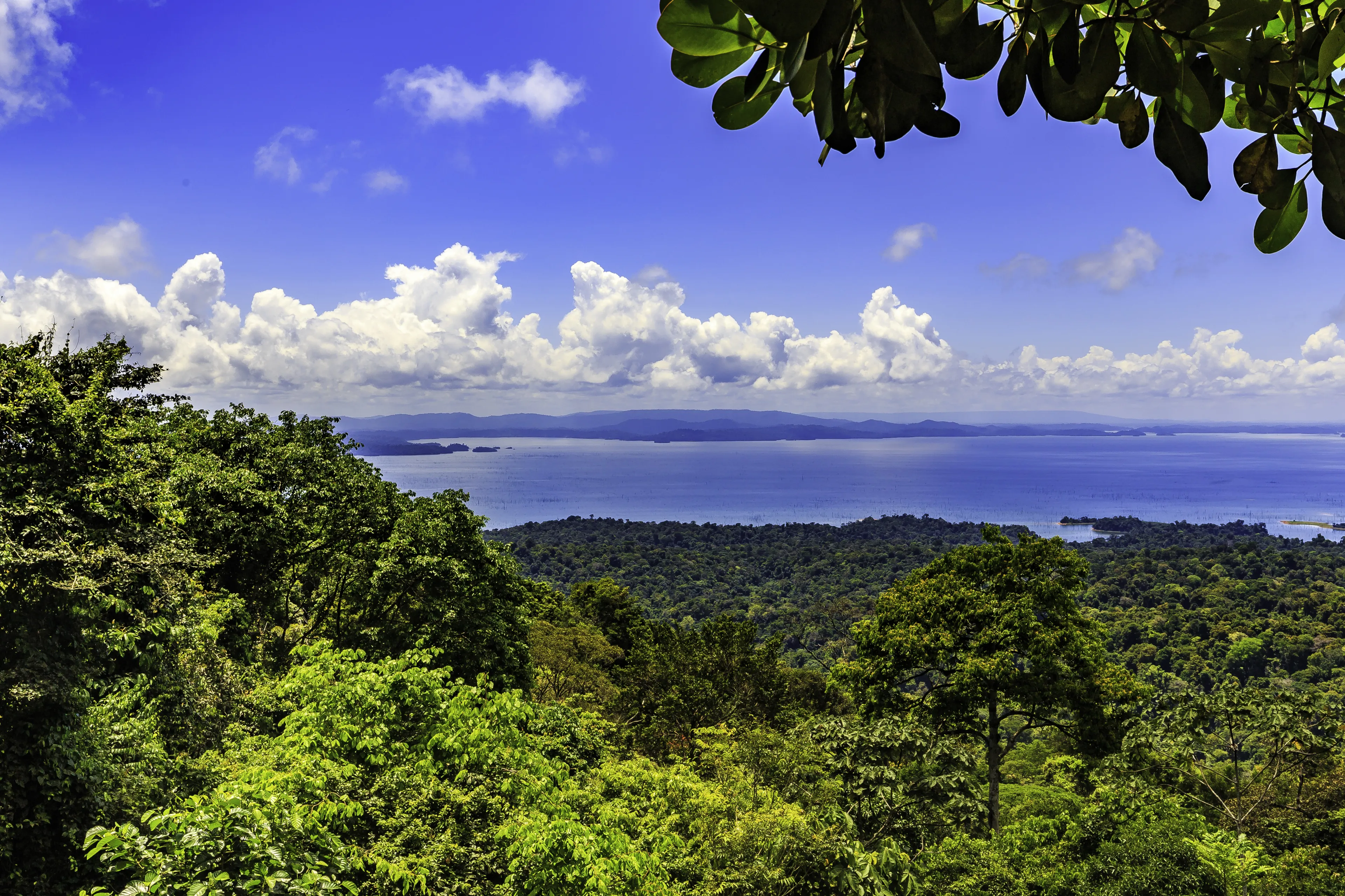 View of Lake Brokopondo in Surinam