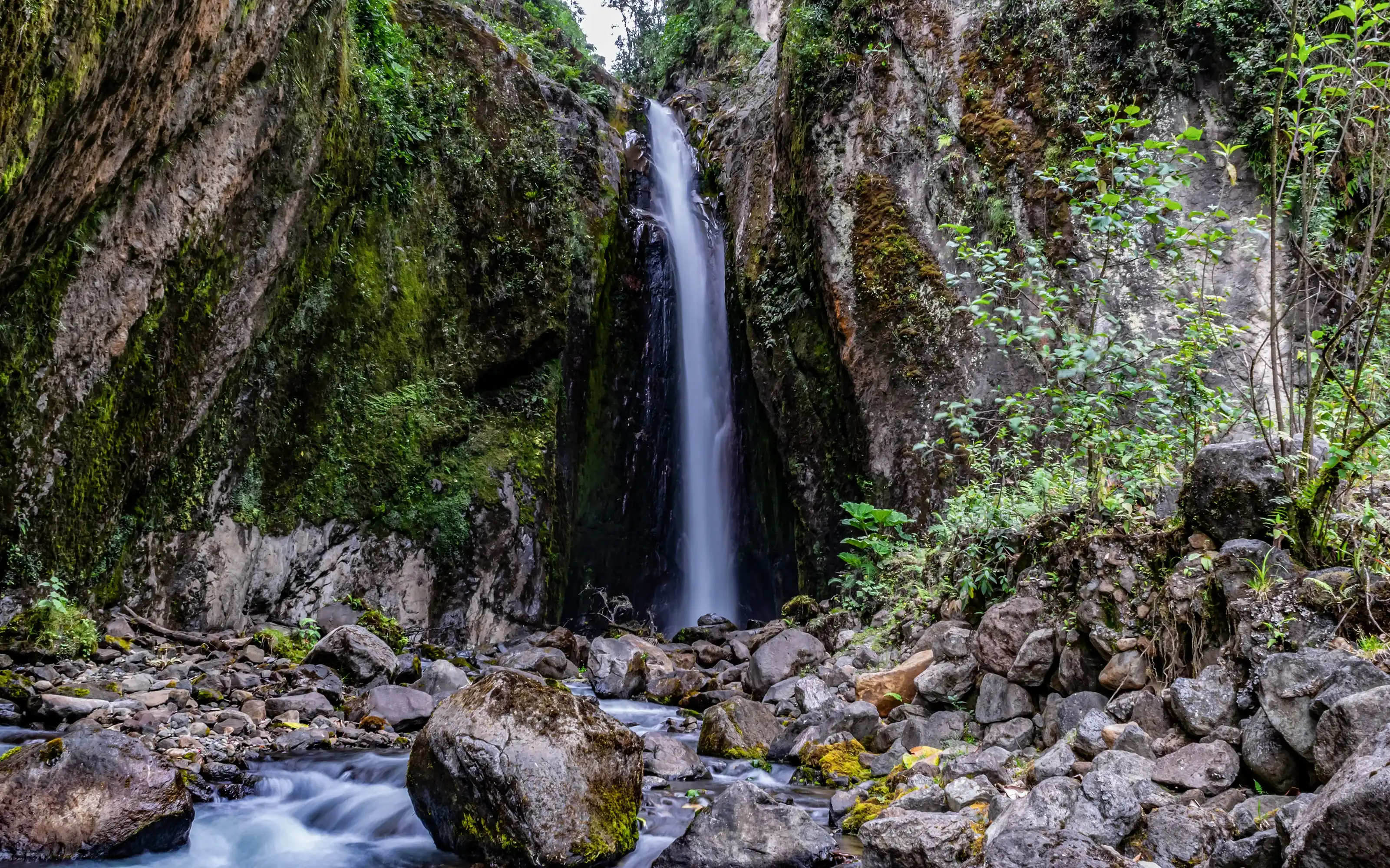 Departamento de Tolima hotels. Best hotels in Departamento de Tolima, Colombia Departamento de Tolima hotels. Best hotels in Departamento de Tolima, Colombia