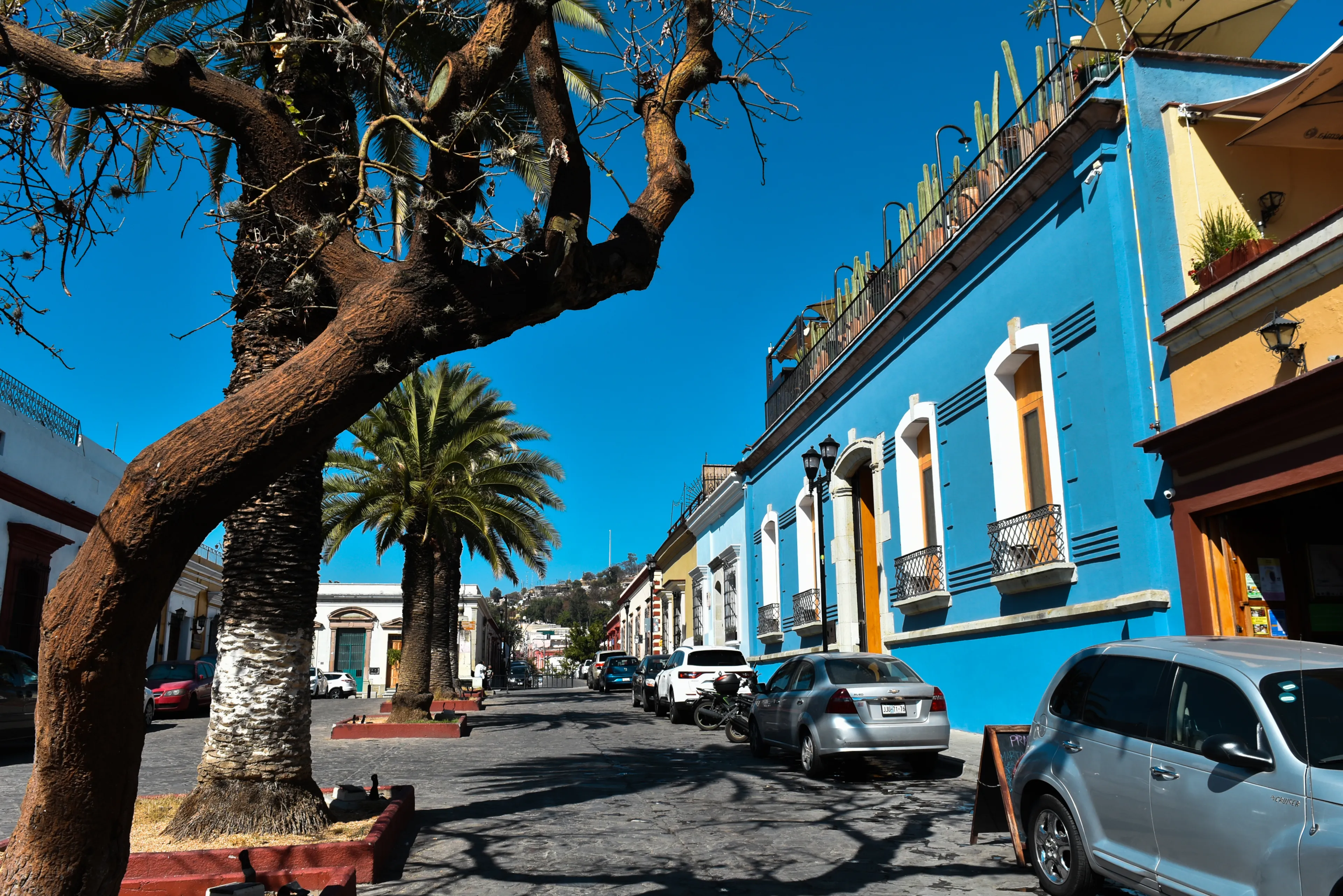 Best Oaxaca hotels. Cheap hotels in Oaxaca, Mexico