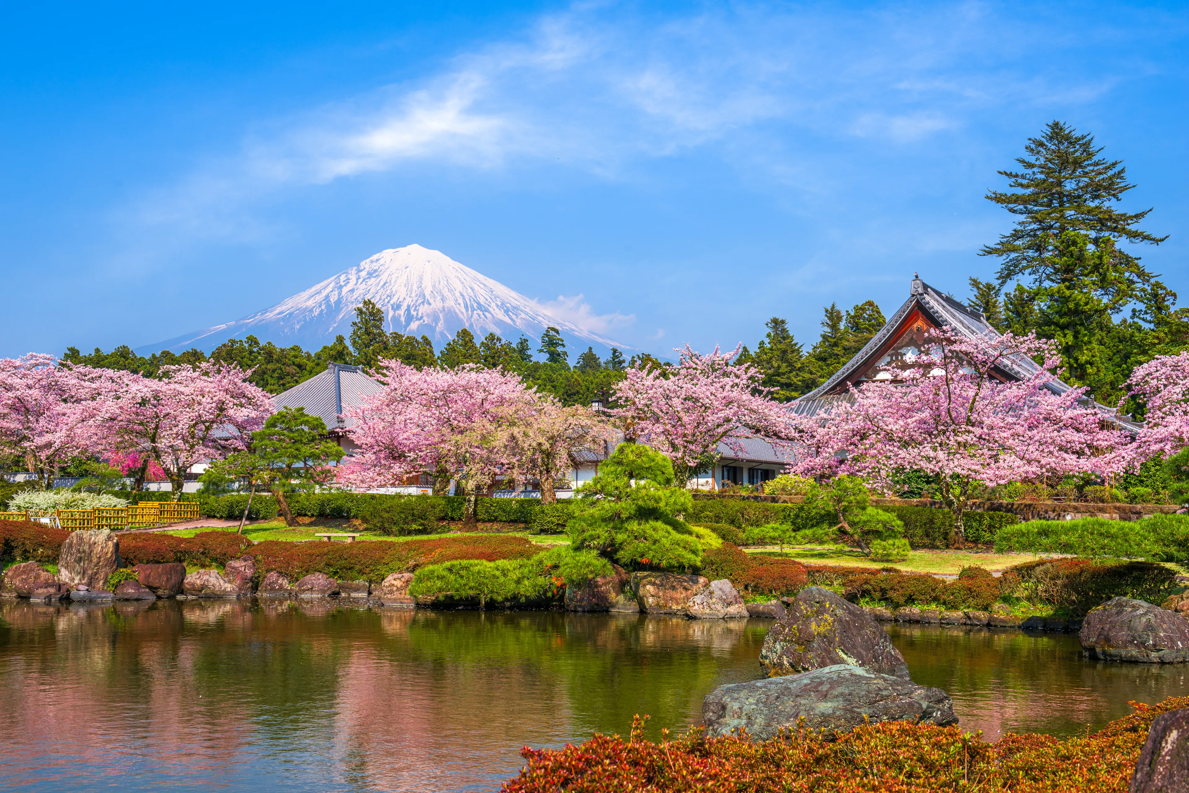 Fujinomiya, Shizuoka, Japan with Mt. Fuji in spring.