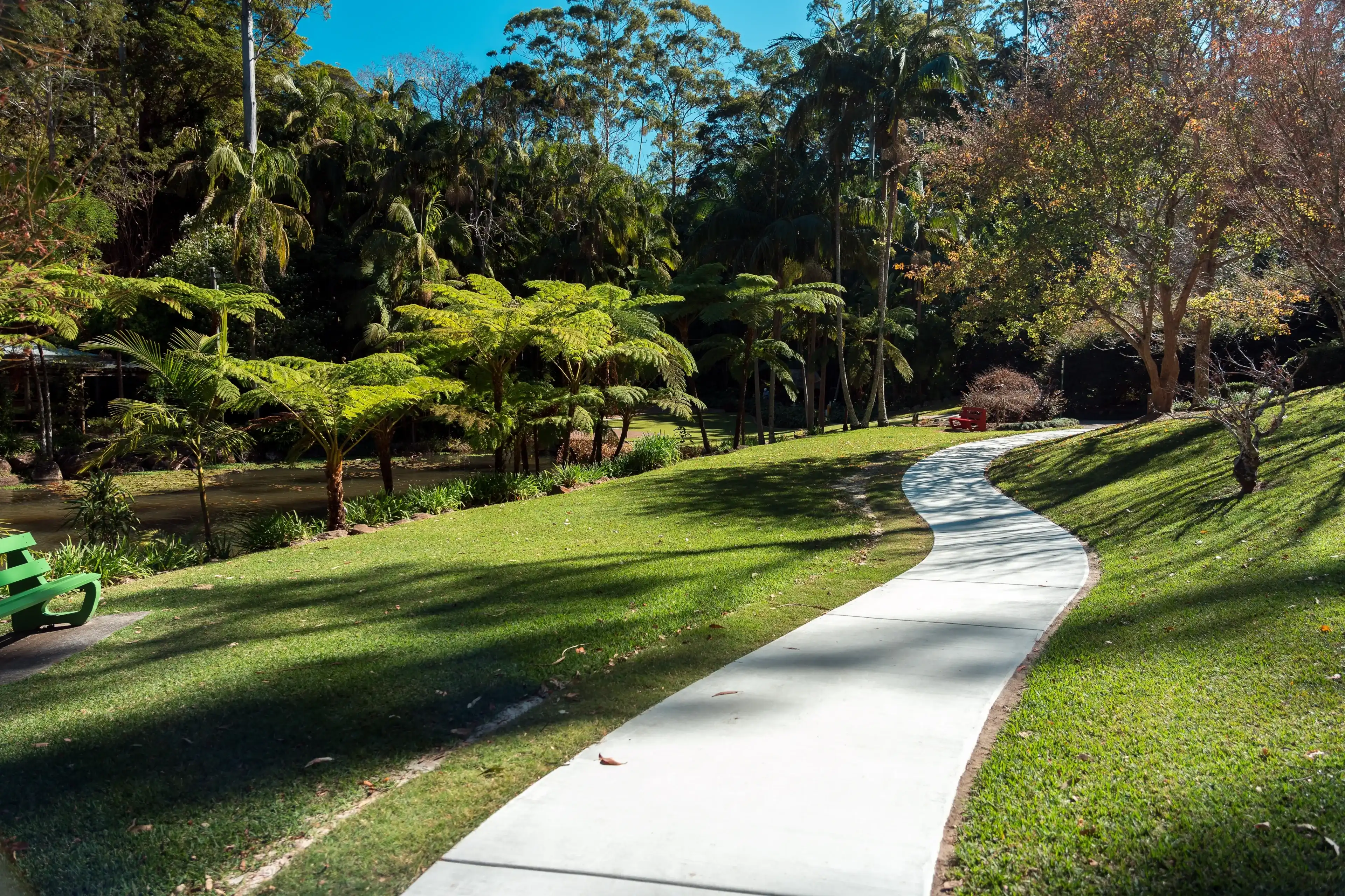 Walking path in Tamborine Mountain Botanic Gardens in Queensland, Australia Walking path in Tamborine Mountain Botanic Gardens in Queensland, Australia