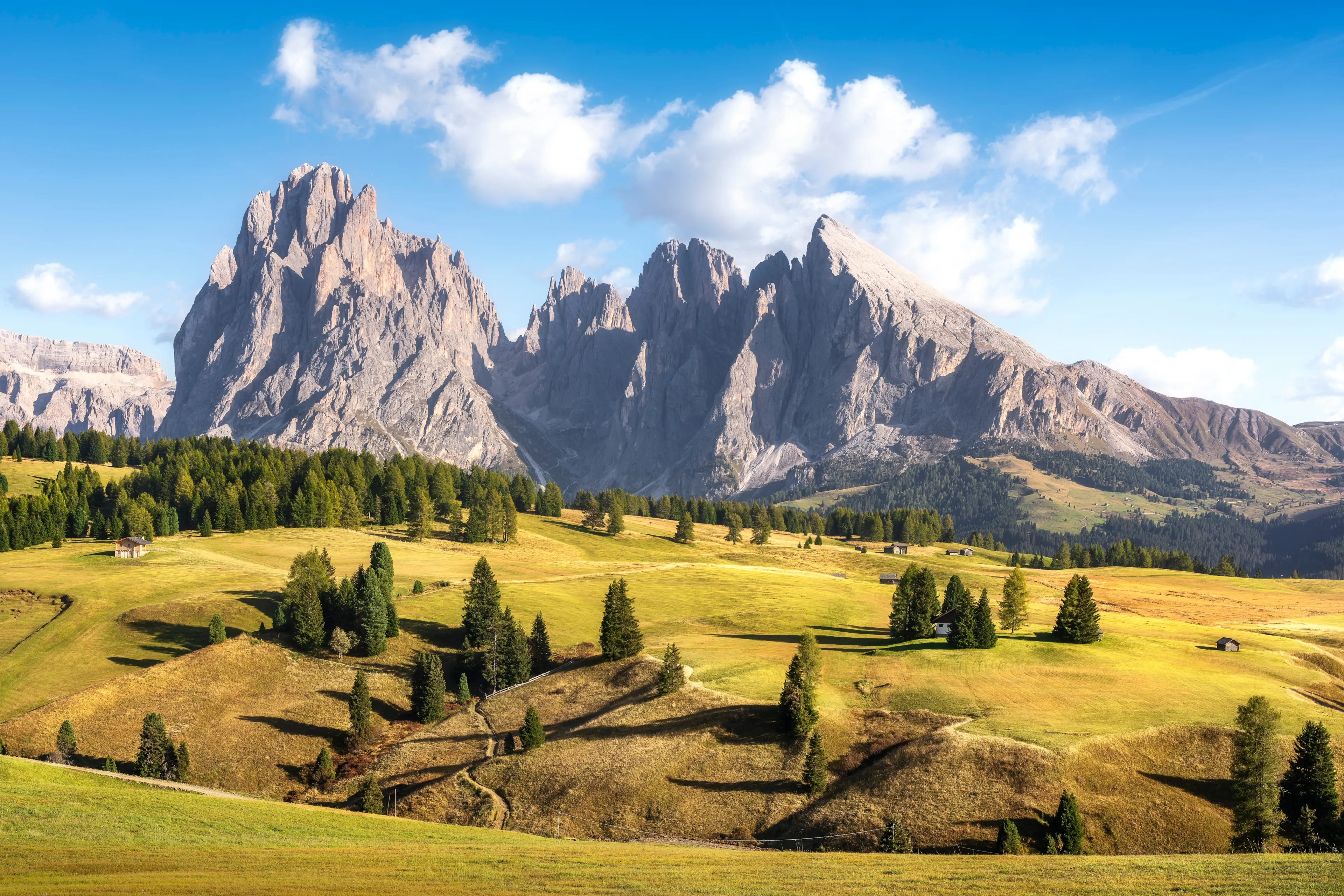 Alpe di Siusi or Seiser Alm, Dolomites Alps Sassolungo and Sassopiatto mountains, Trentino Alto Adige South Tyrol region, Italy, Europe