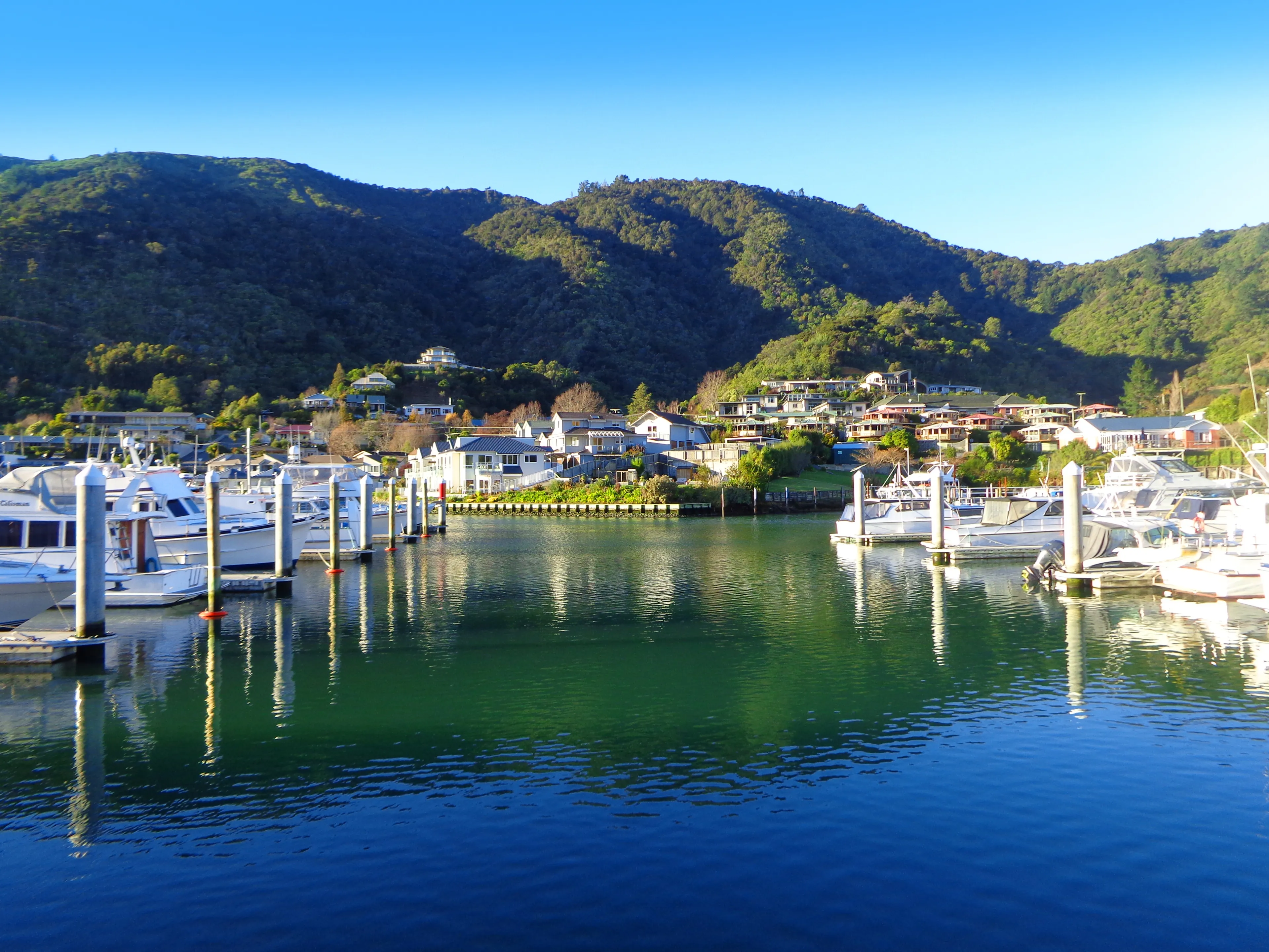Picton New Zealand. Famous harbor town. Yacht marina on Sunny day