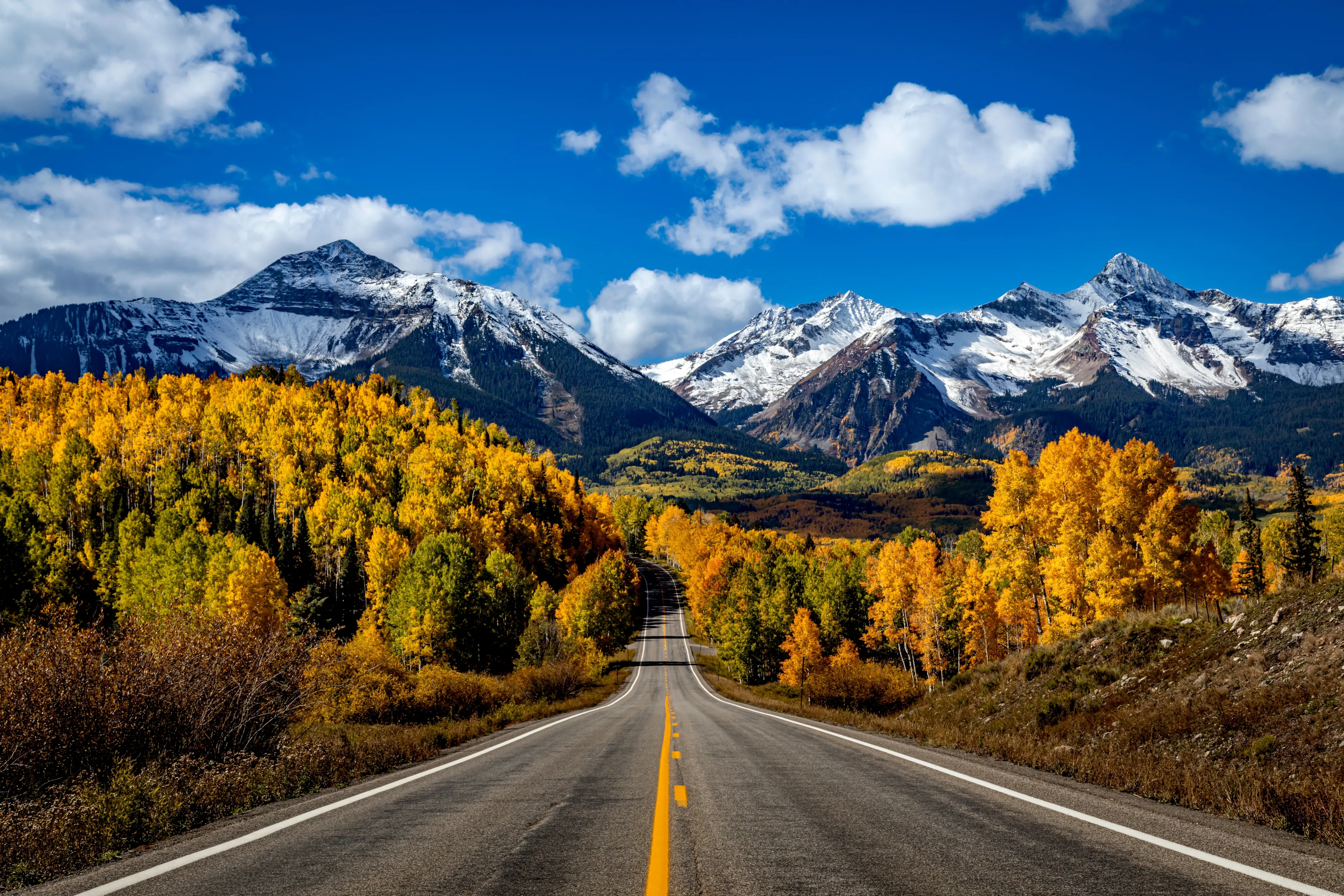 Stunning scenic fall drive along Colorado 145 near Telluride Colorado on a sunny afternoon with yellow Aspen trees near peak fall colors, and 2 lane highway in the foreground