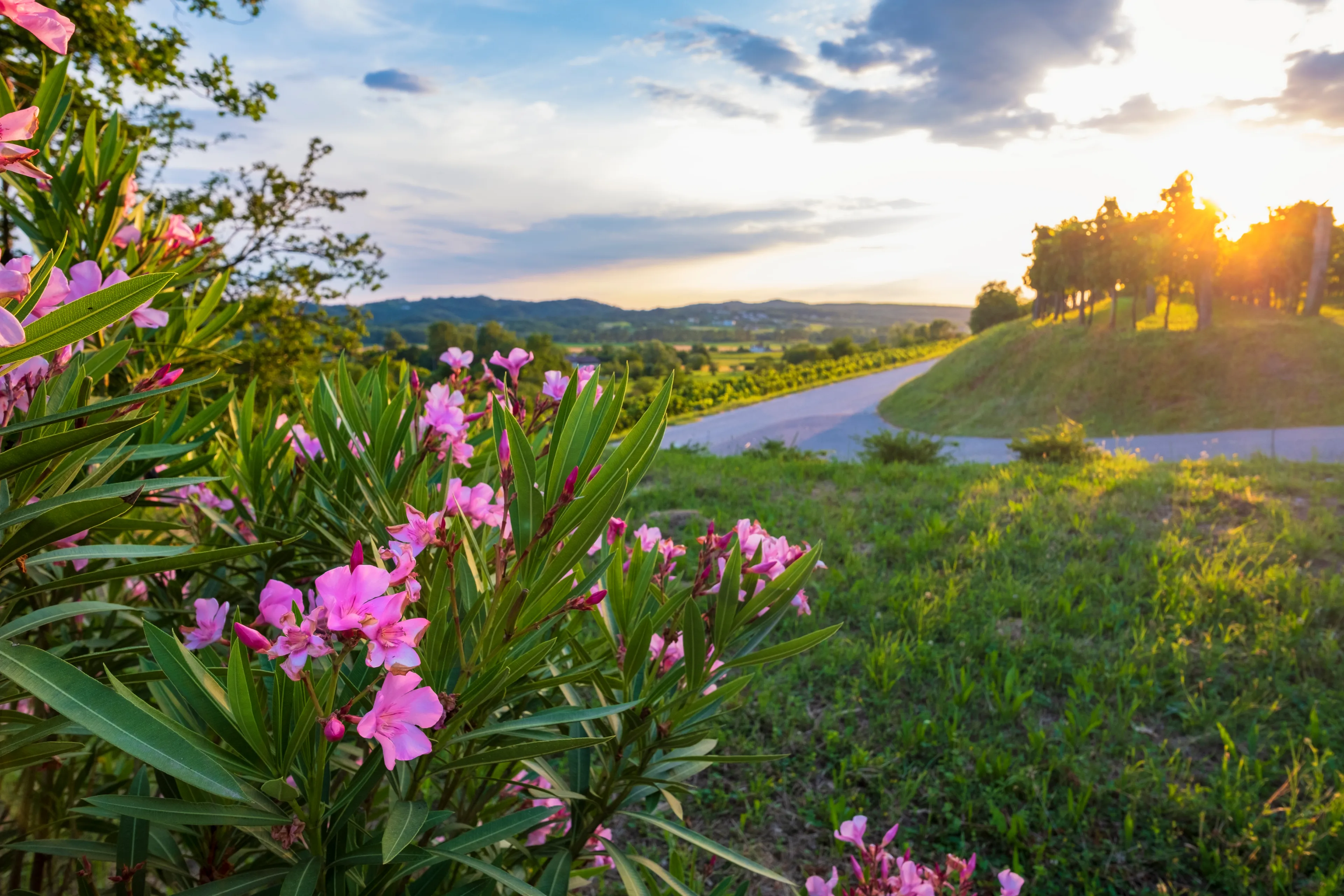 Vipava hotels. Best hotels in Vipava, Slovenia