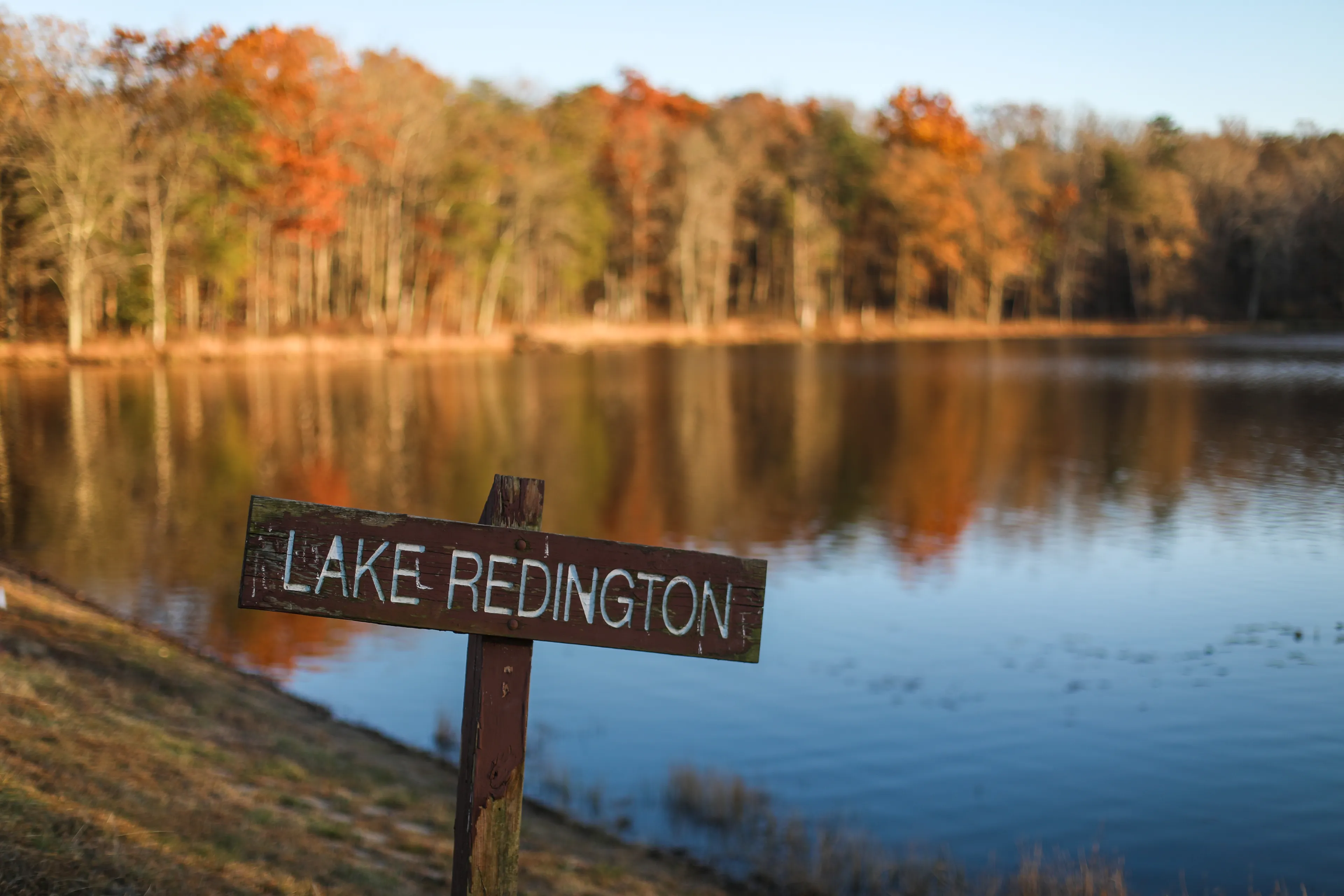 Best Laurel hotels. Cheap hotels in Laurel, Maryland, United States