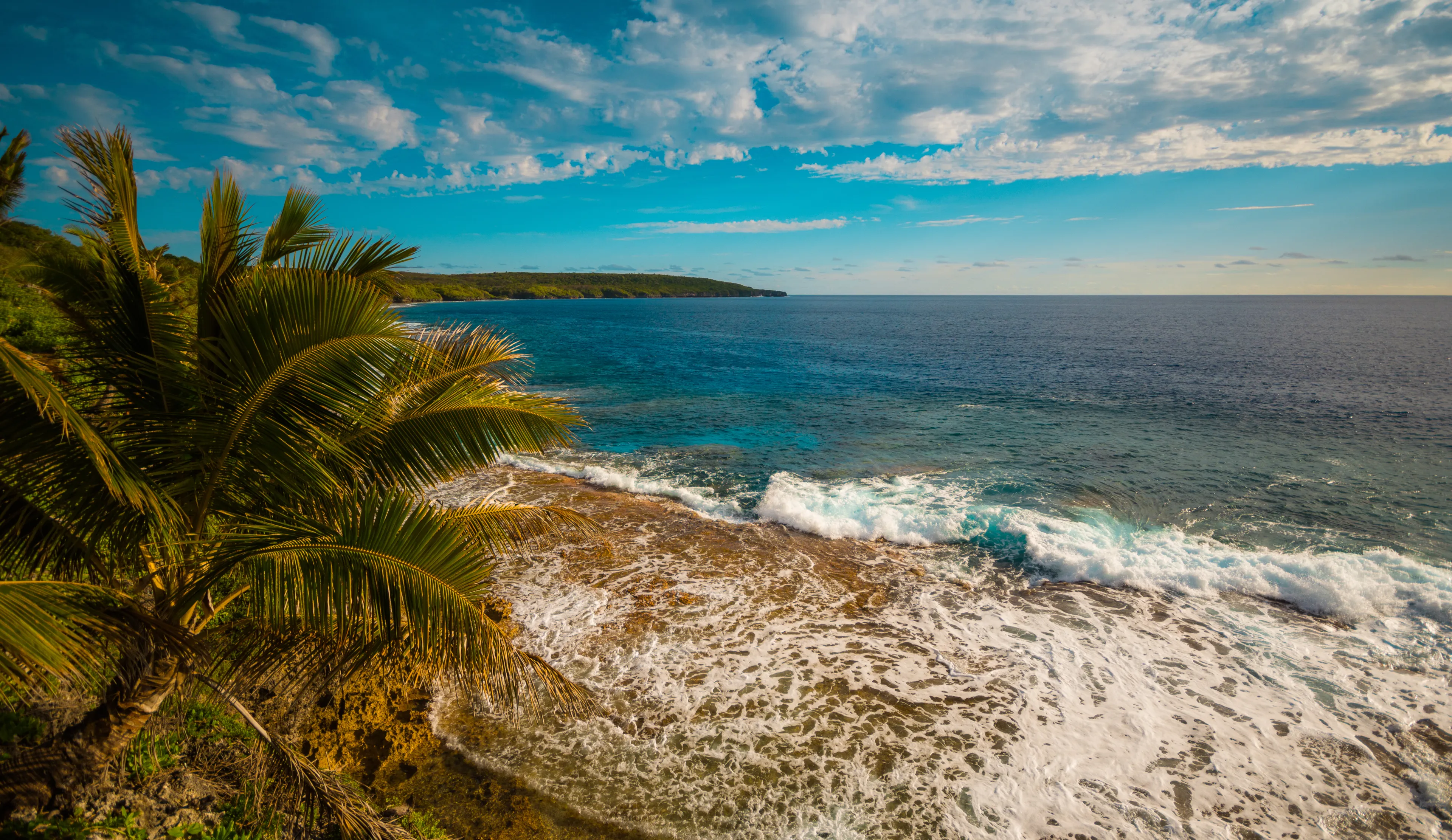 Rocky shore Niue