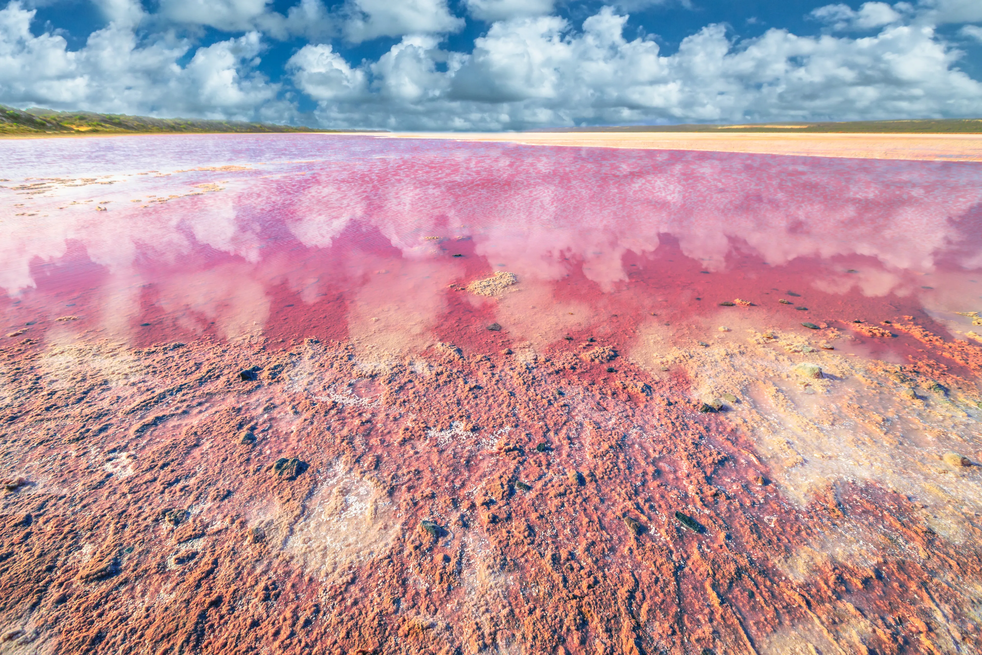 Picturesque shore Pink Salt Lake, Gregory in Western Australia. Blue sky with clouds reflects in Hutt Lagoon between Geraldton and Kalbarri, with a vivid pink color for the presence of algae in summer
