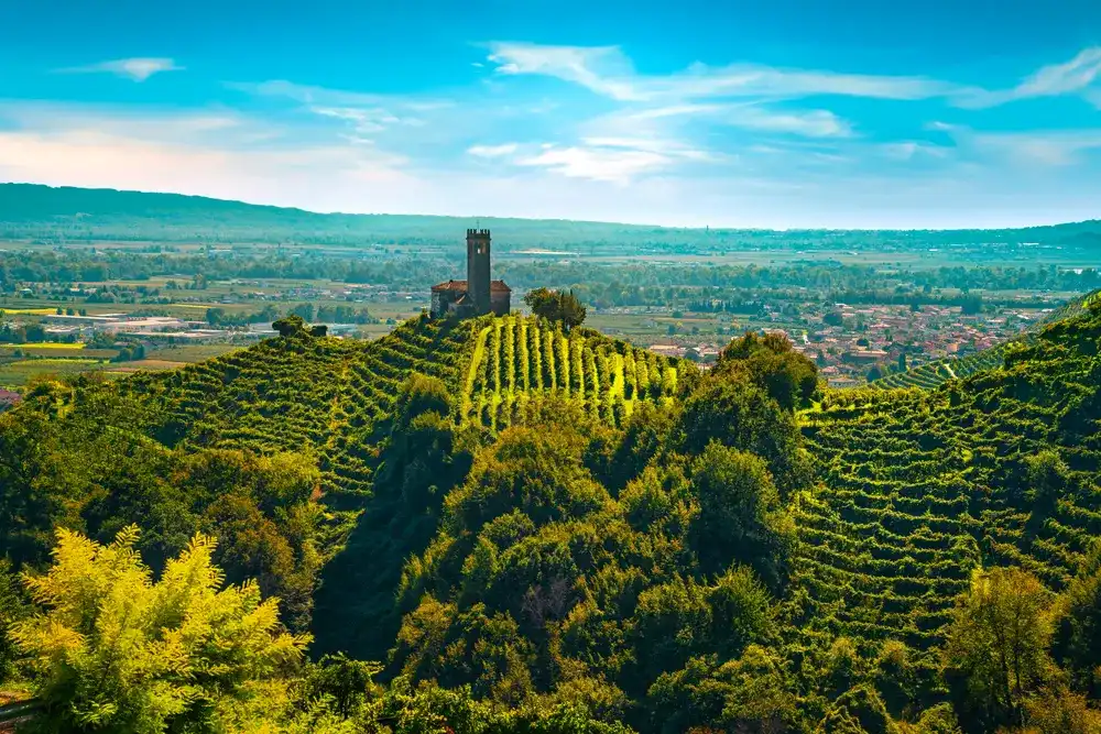 Prosecco Hills, vineyards and San Lorenzo church. Unesco Site. Farra di Soligo. Veneto, Italy, Europe. Prosecco Hills, vineyards and San Lorenzo church. Unesco Site. Farra di Soligo. Veneto, Italy, Europe.