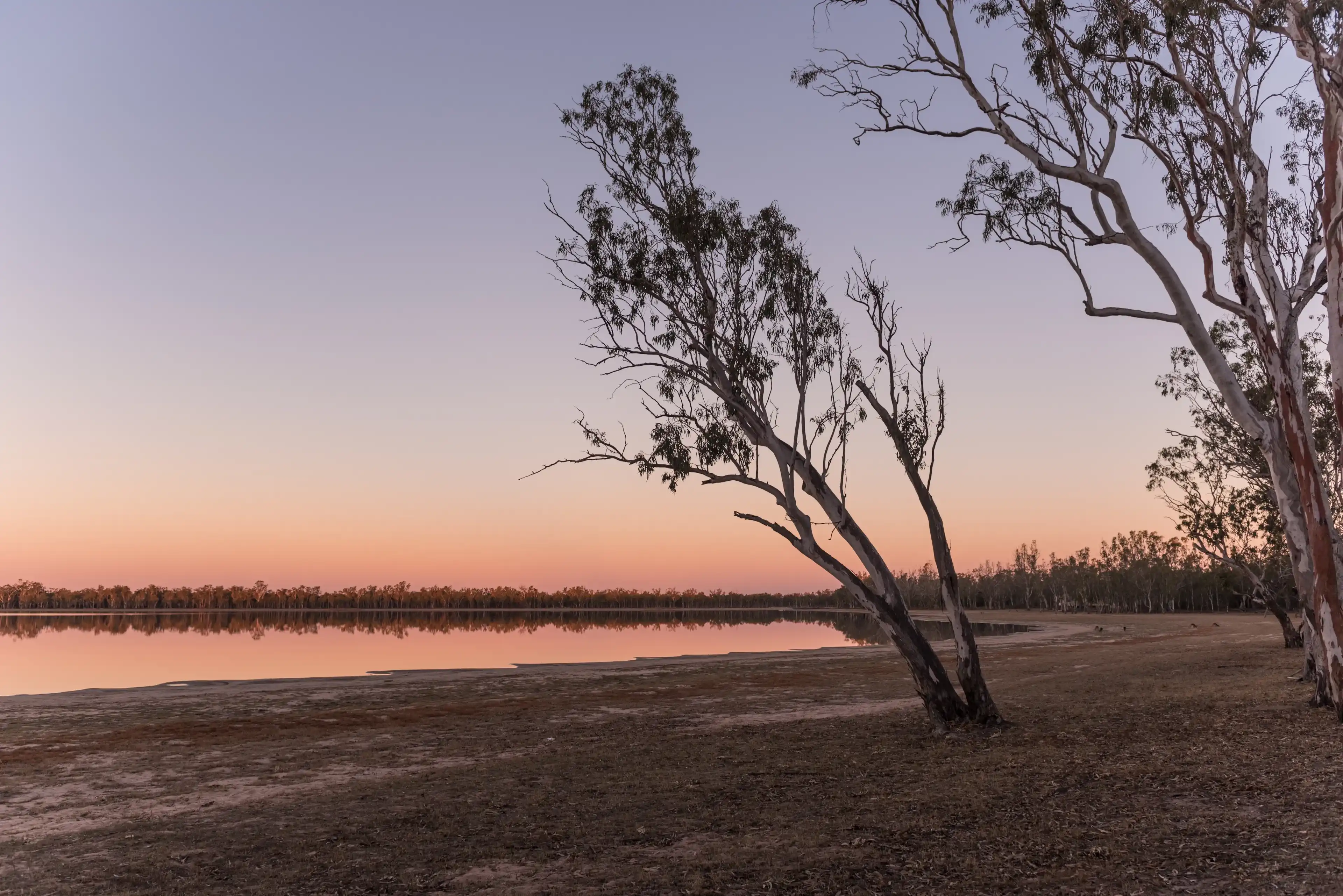 Best Dalby hotels. Cheap hotels in Dalby, Queensland, Australia Best Dalby hotels. Cheap hotels in Dalby, Queensland, Australia