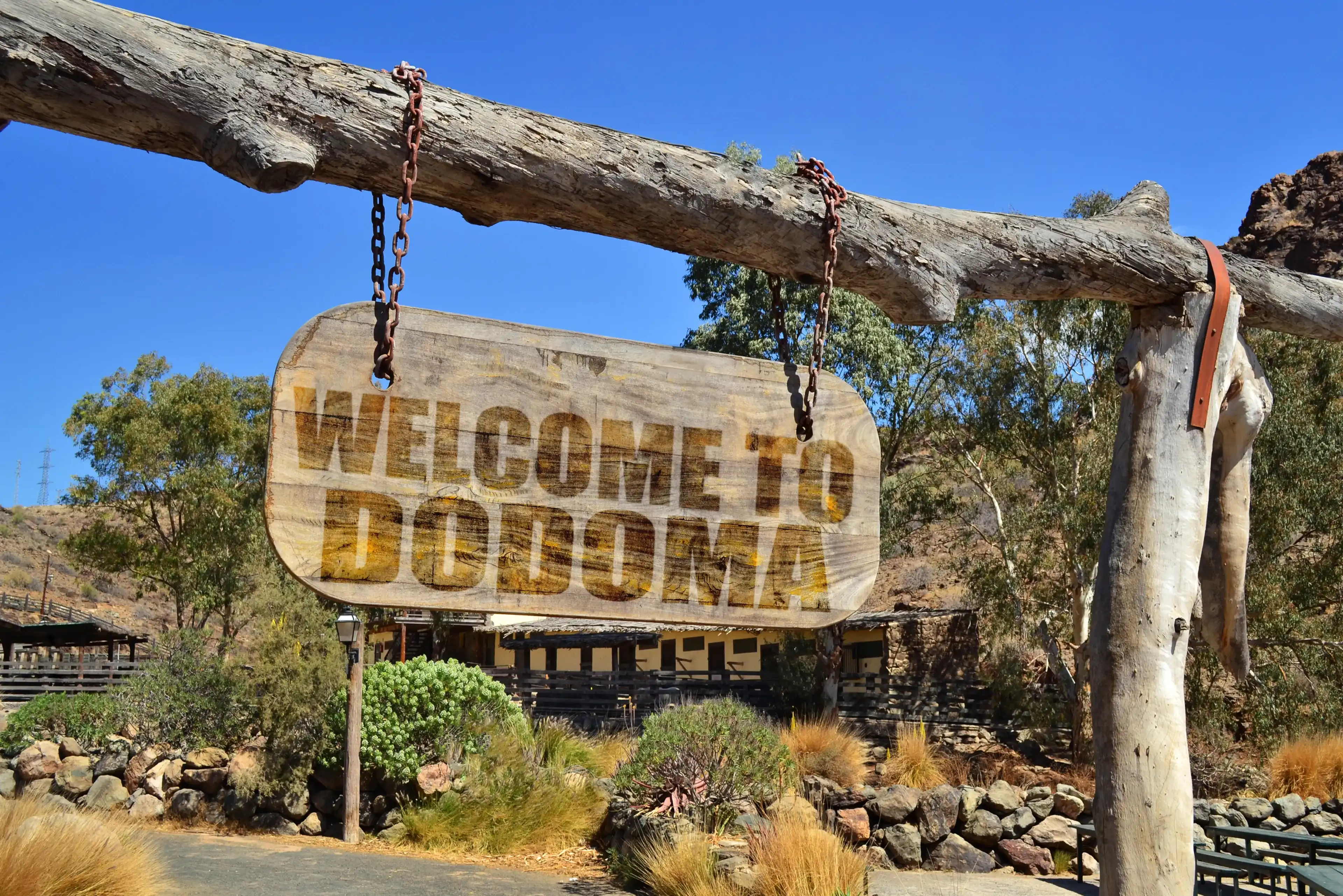 old vintage wood signboard with text " welcome to Dodoma" hanging on a branch old vintage wood signboard with text " welcome to Dodoma" hanging on a branch