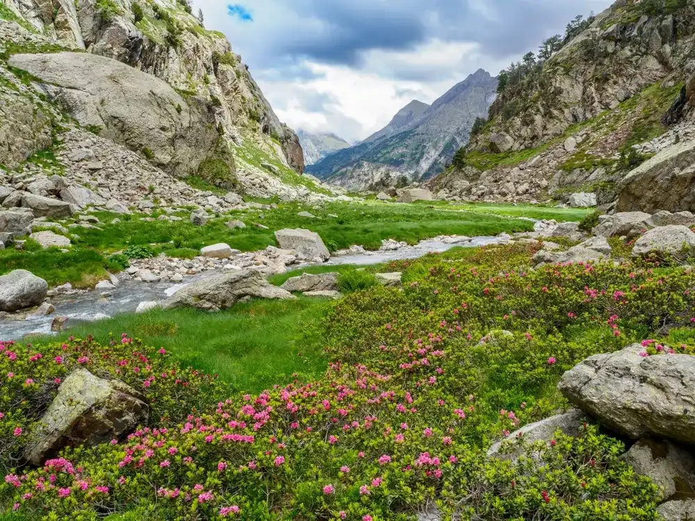 Remune gorge and river in Benasque Valley of Huesca pyrenees, Spain Remune gorge and river in Benasque Valley of Huesca pyrenees, Spain