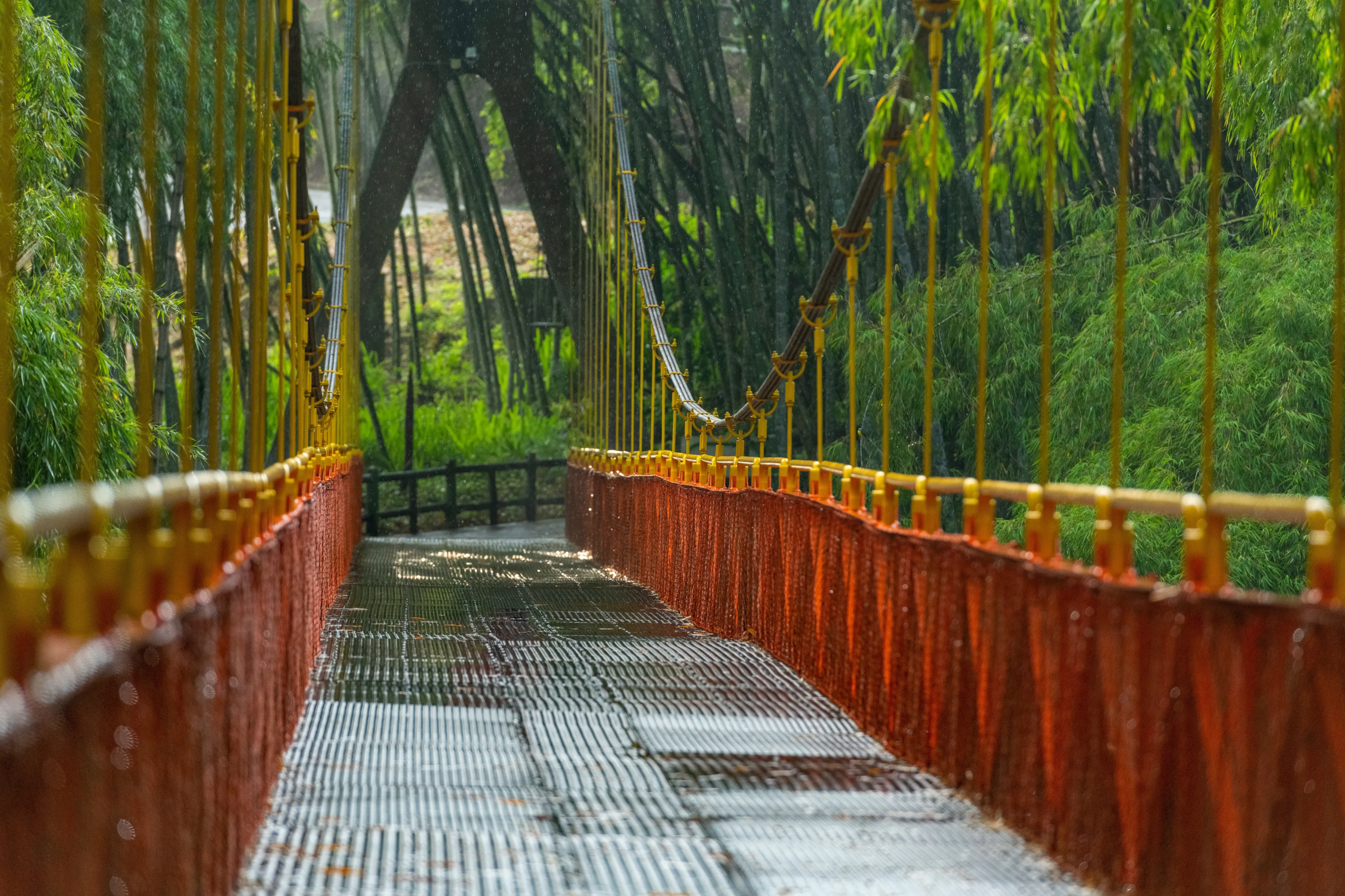 Best Montenegro hotels. Cheap hotels in Montenegro, Colombia