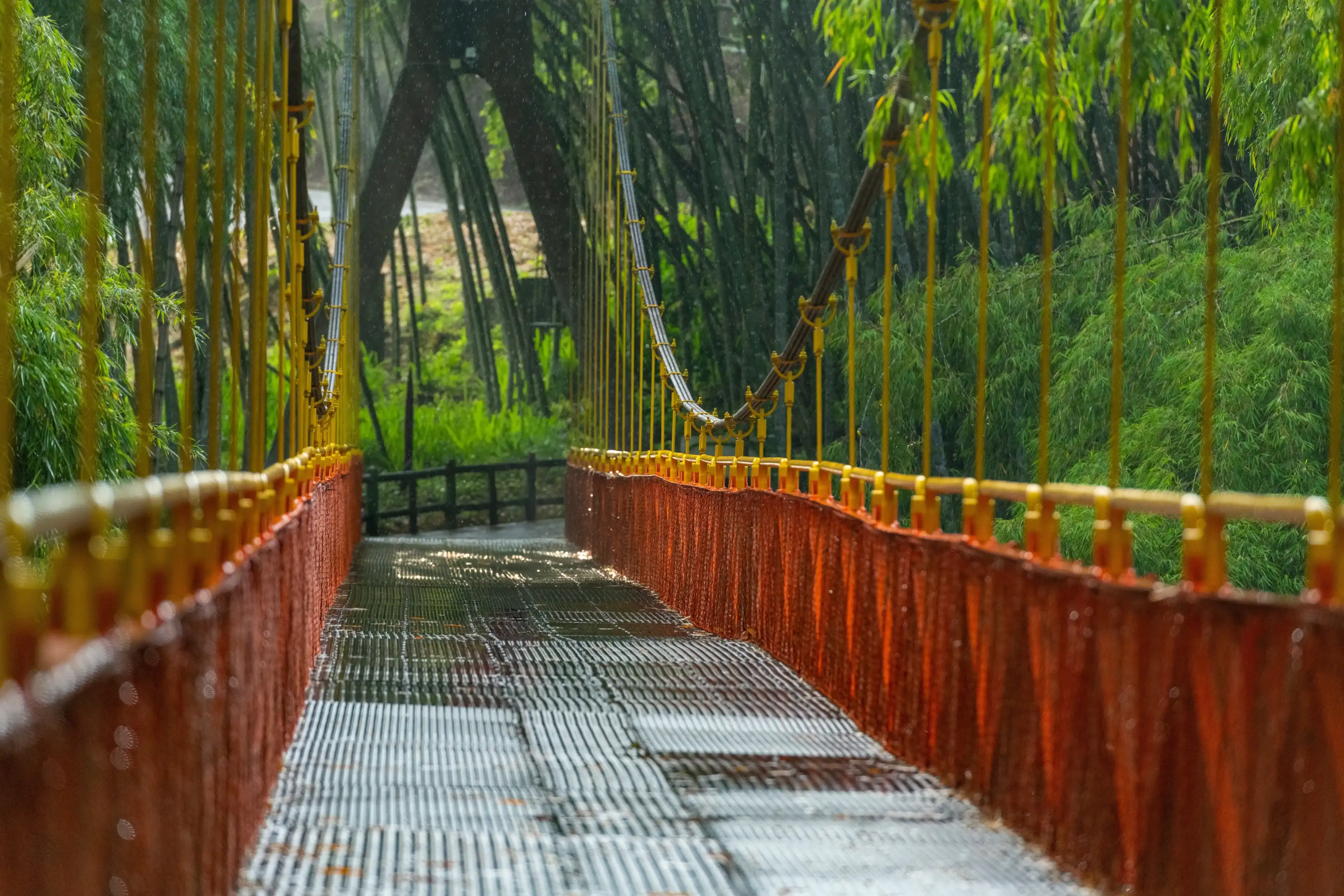 Best Montenegro hotels. Cheap hotels in Montenegro, Colombia Best Montenegro hotels. Cheap hotels in Montenegro, Colombia