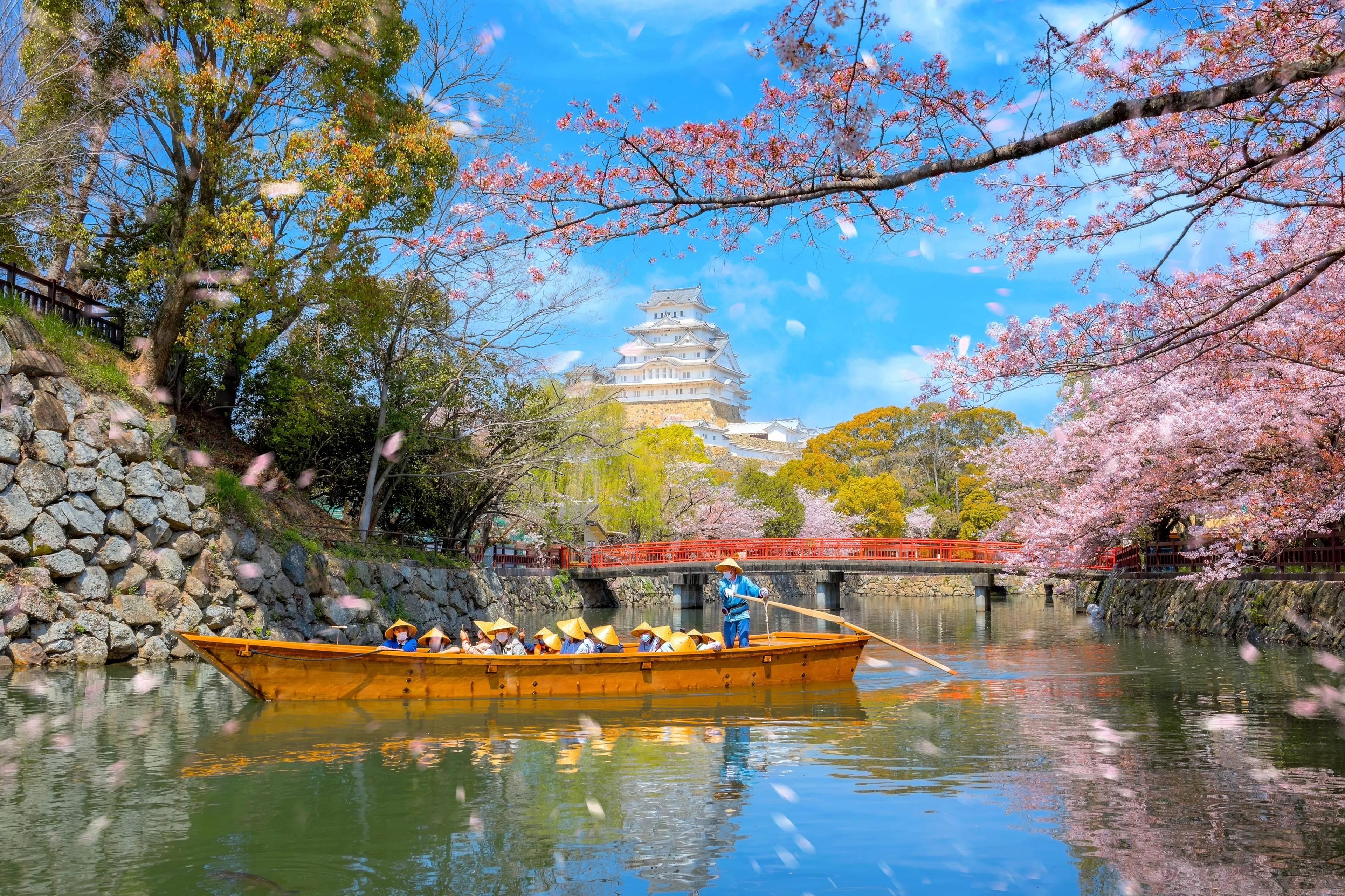 Himeji castle moat boat tour during full bloom cherry blossom in Hyogo, Japan