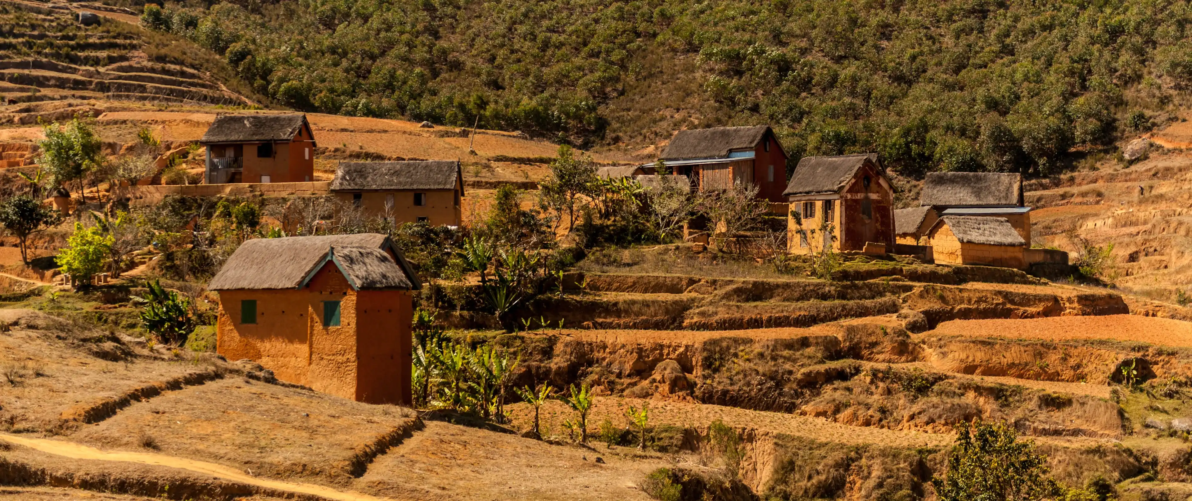 on the road in Antananarivo on the road in Antananarivo