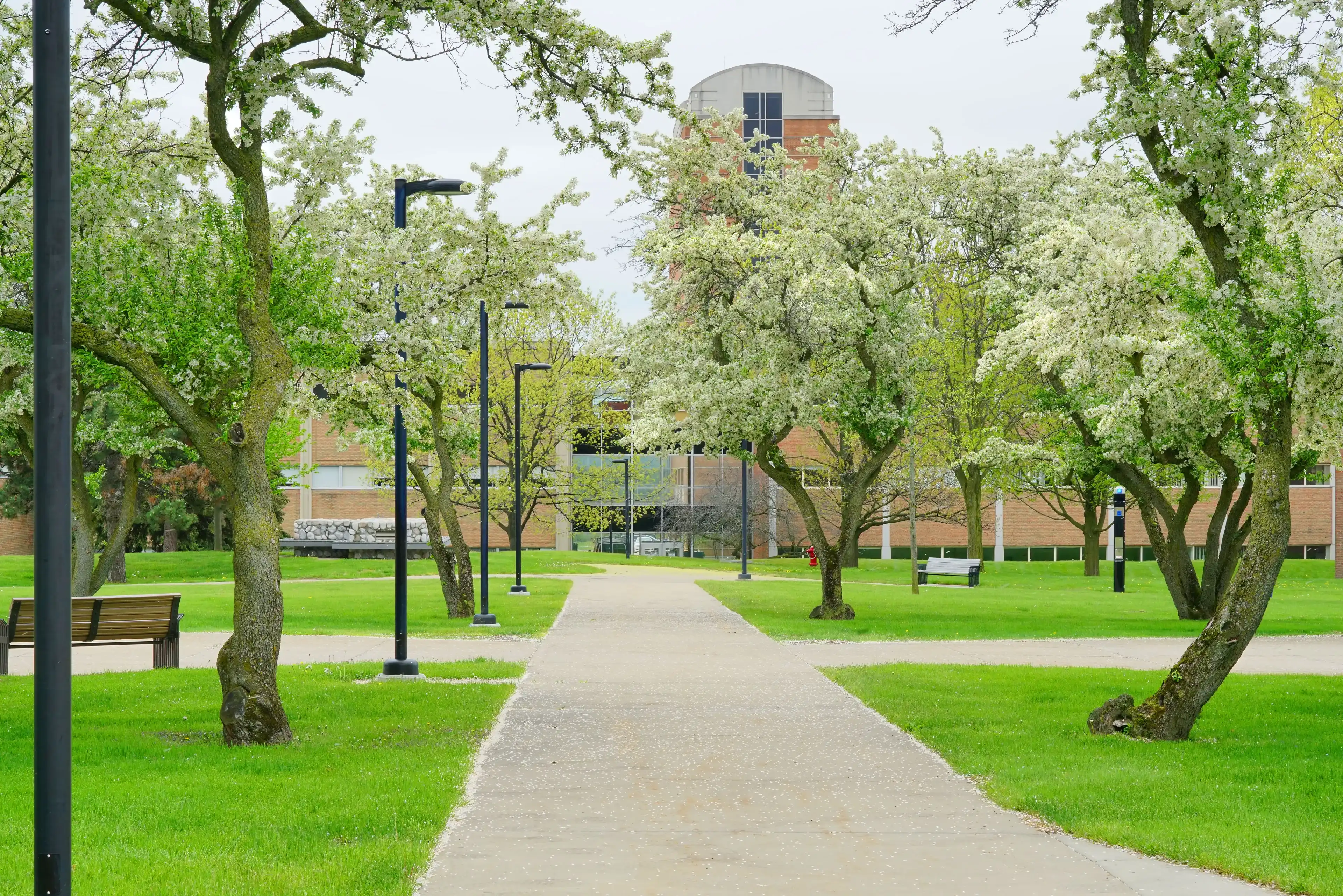 Best Auburn Hills hotels. Cheap hotels in Auburn Hills, Michigan, United States Best Auburn Hills hotels. Cheap hotels in Auburn Hills, Michigan, United States