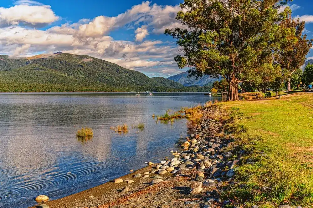 Lake Te Anau, South Island, New Zealand Lake Te Anau, South Island, New Zealand
