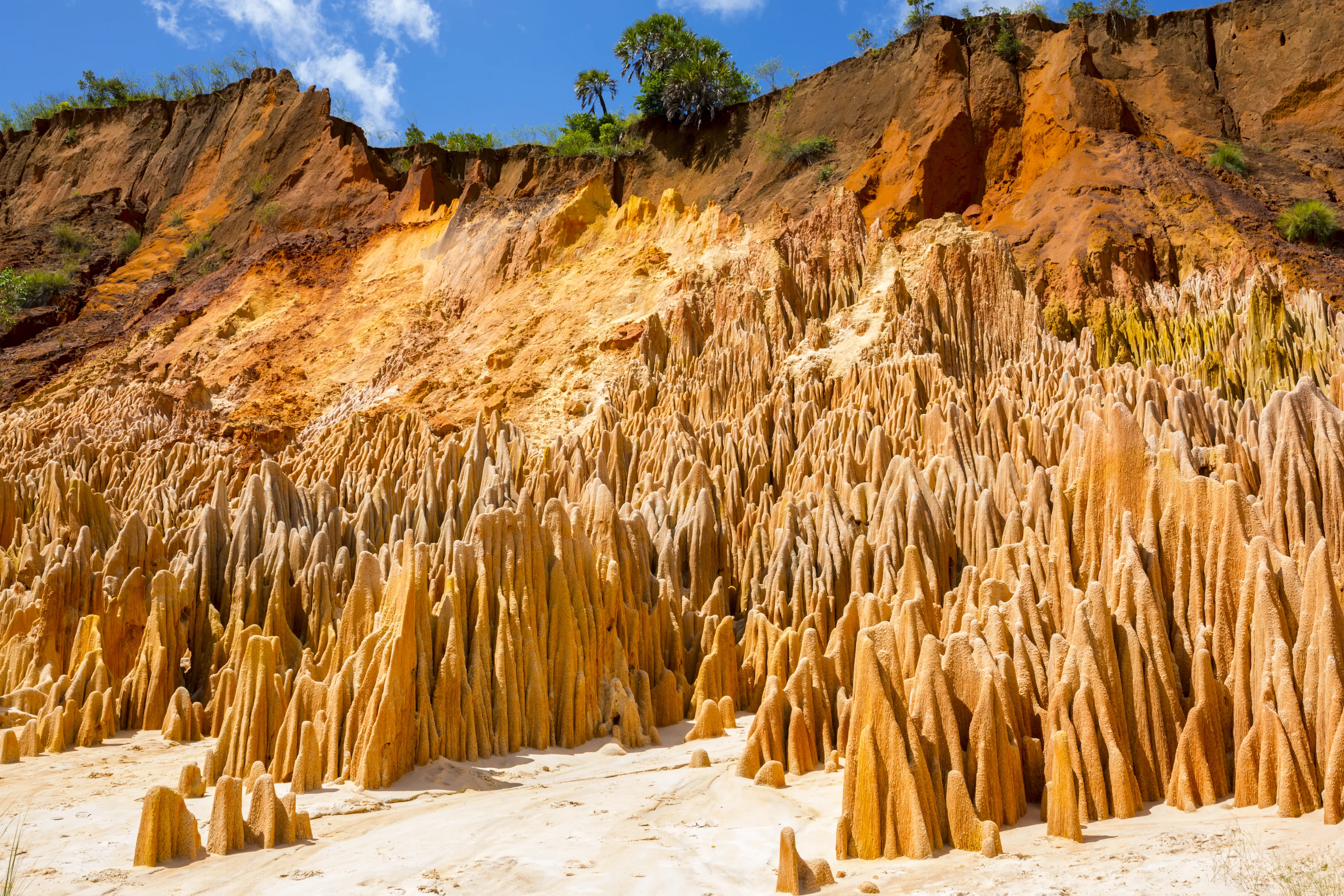 Red Tsingy in Madagascar, Africa. Stone formation of red laterite formed by erosion of the Irodo River in the region of Diana in north of Madagascar.