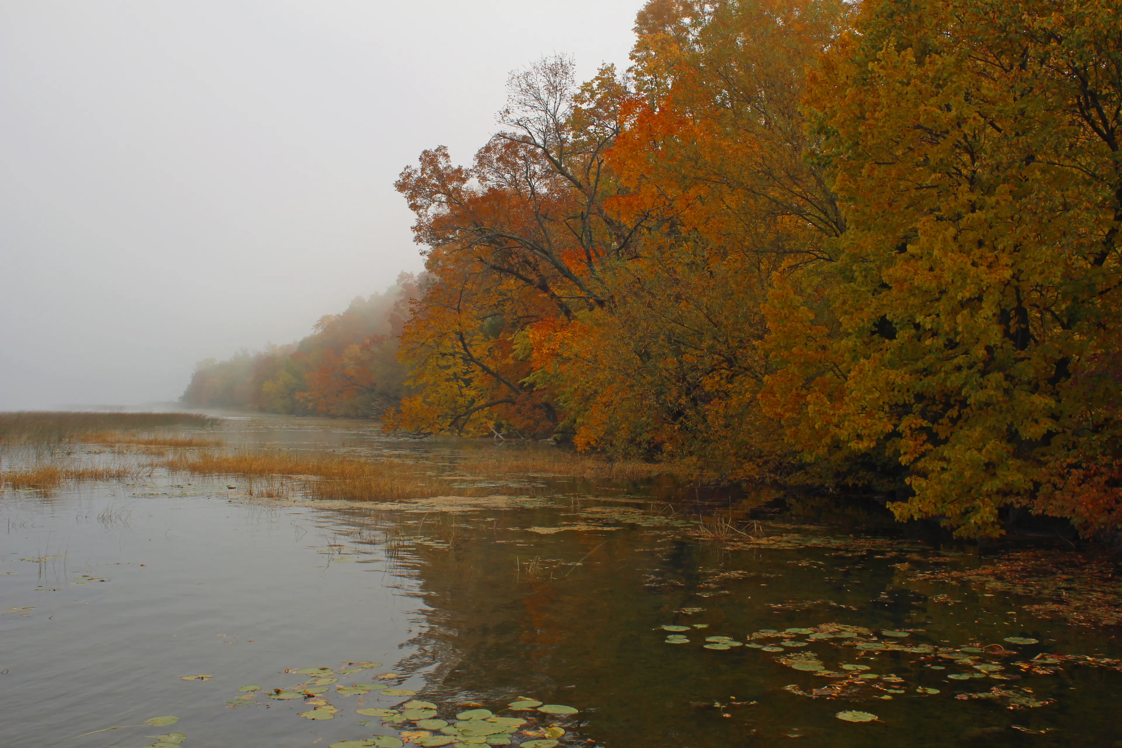 Best Lake Wisconsin hotels. Cheap hotels in Lake Wisconsin, United States