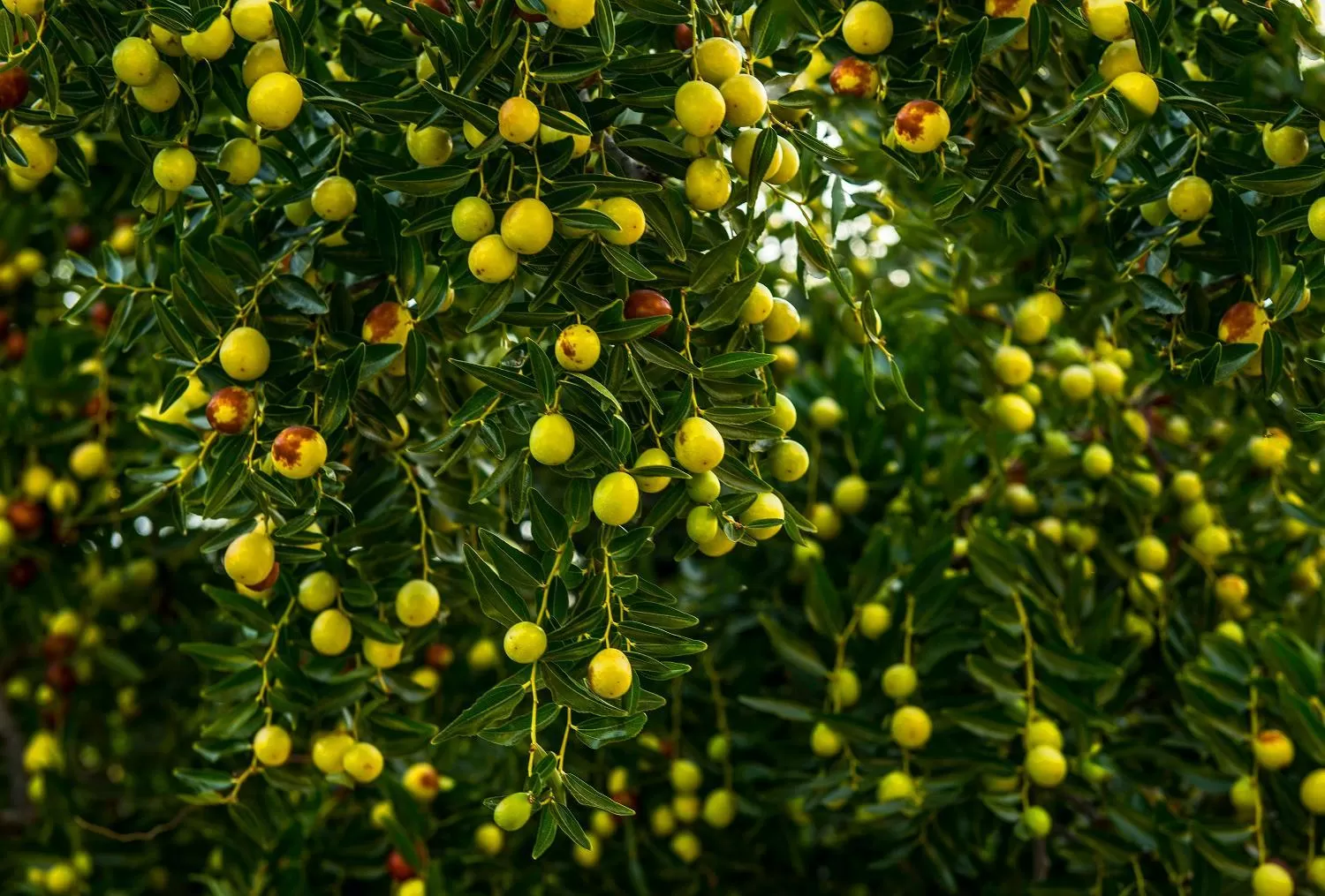 Off site in Iris Hotel & Spa