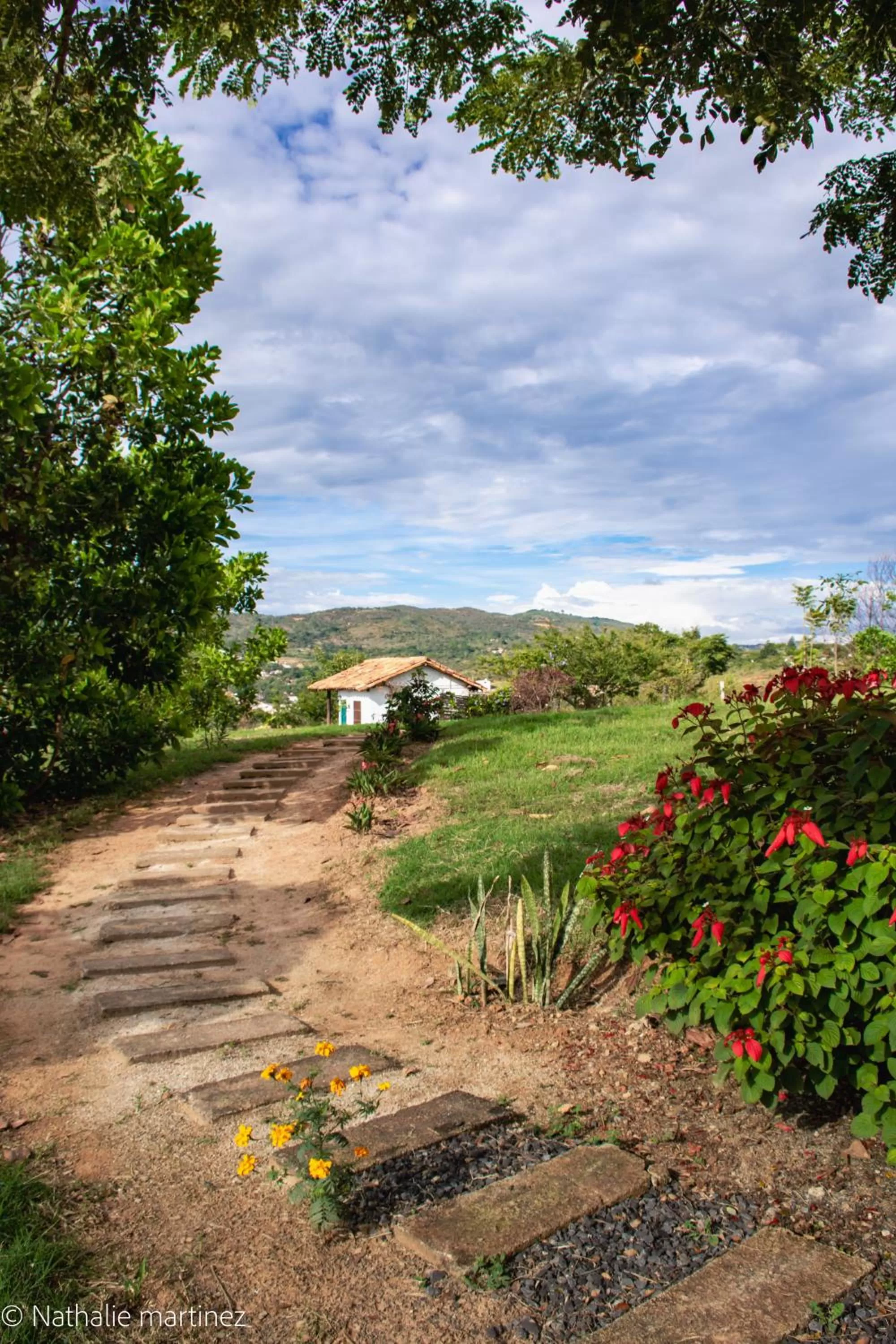Garden in Serrania del Viento