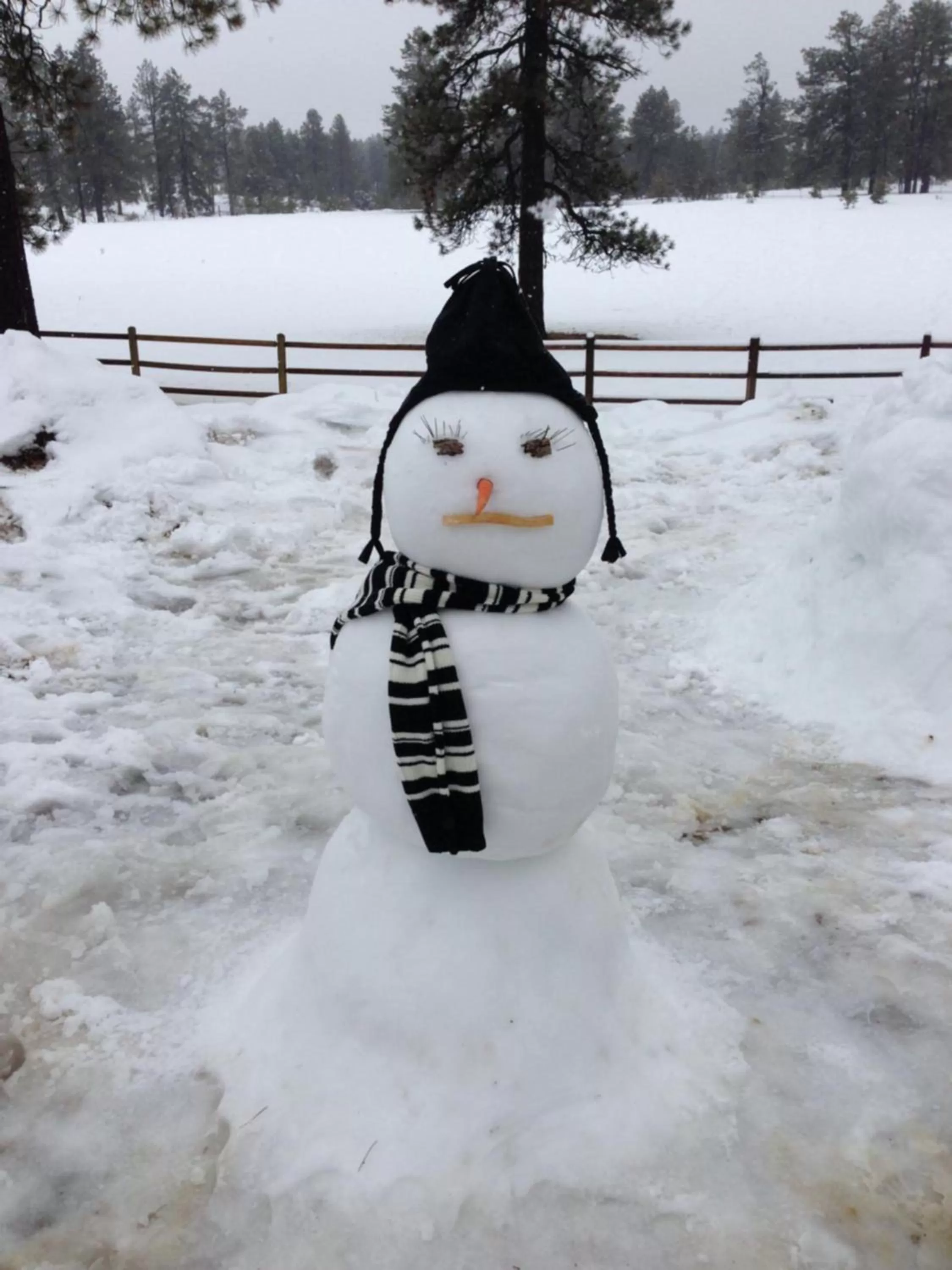 Other in Elktrace Bed and Breakfast