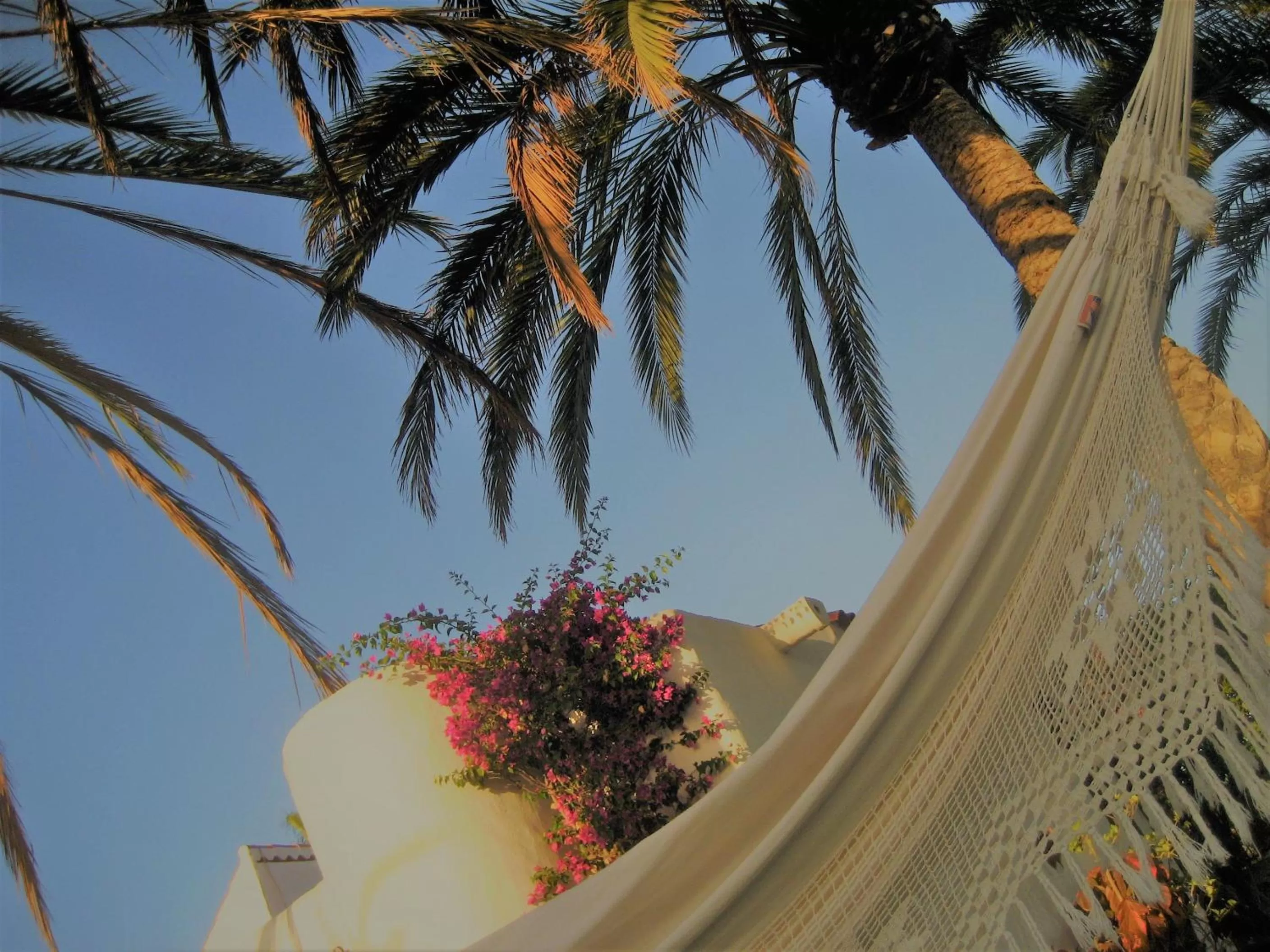 Birdcage Gay Men Resort and Lifestyle Hotel