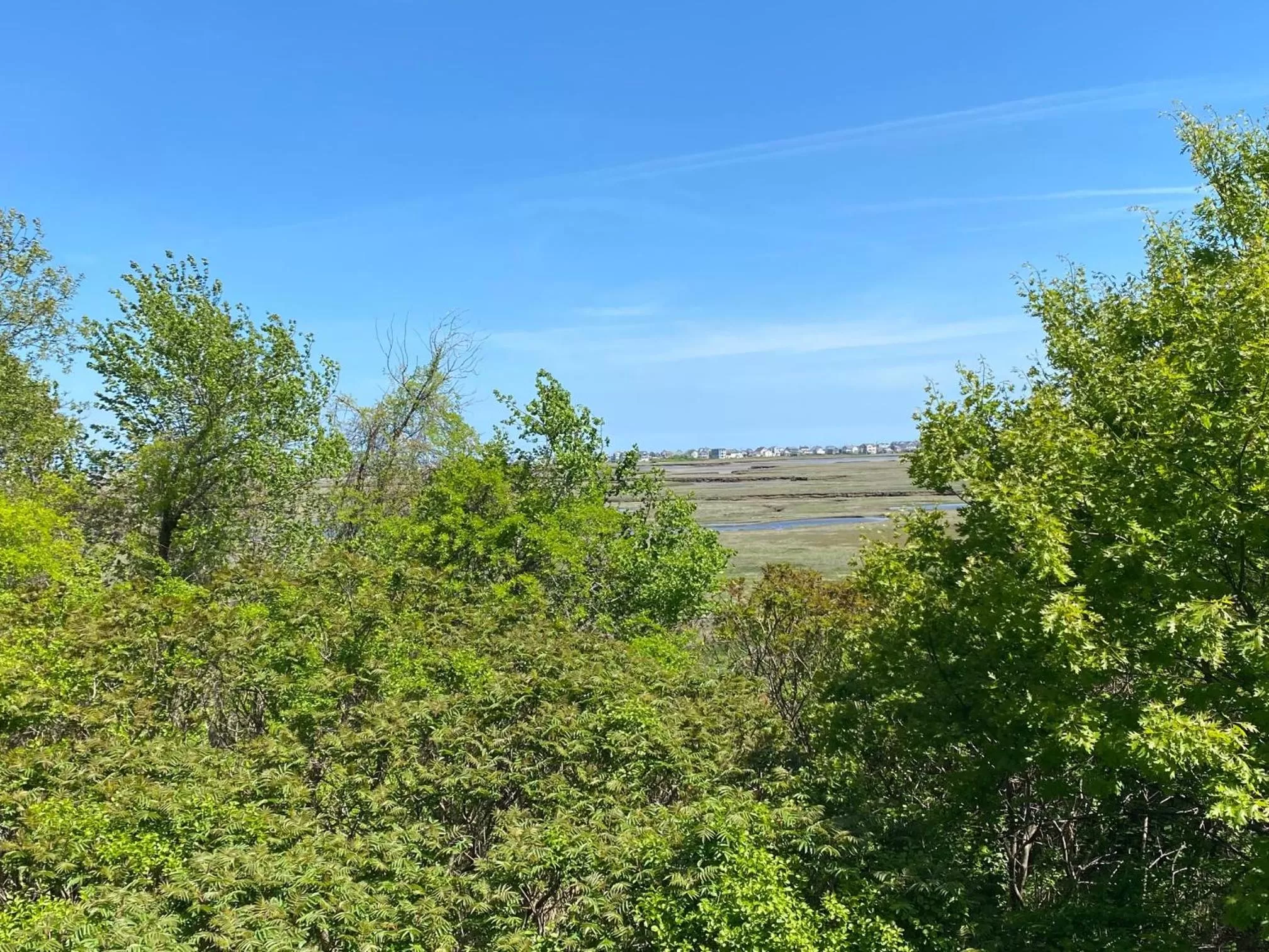 View (from property/room) in Village By The Sea