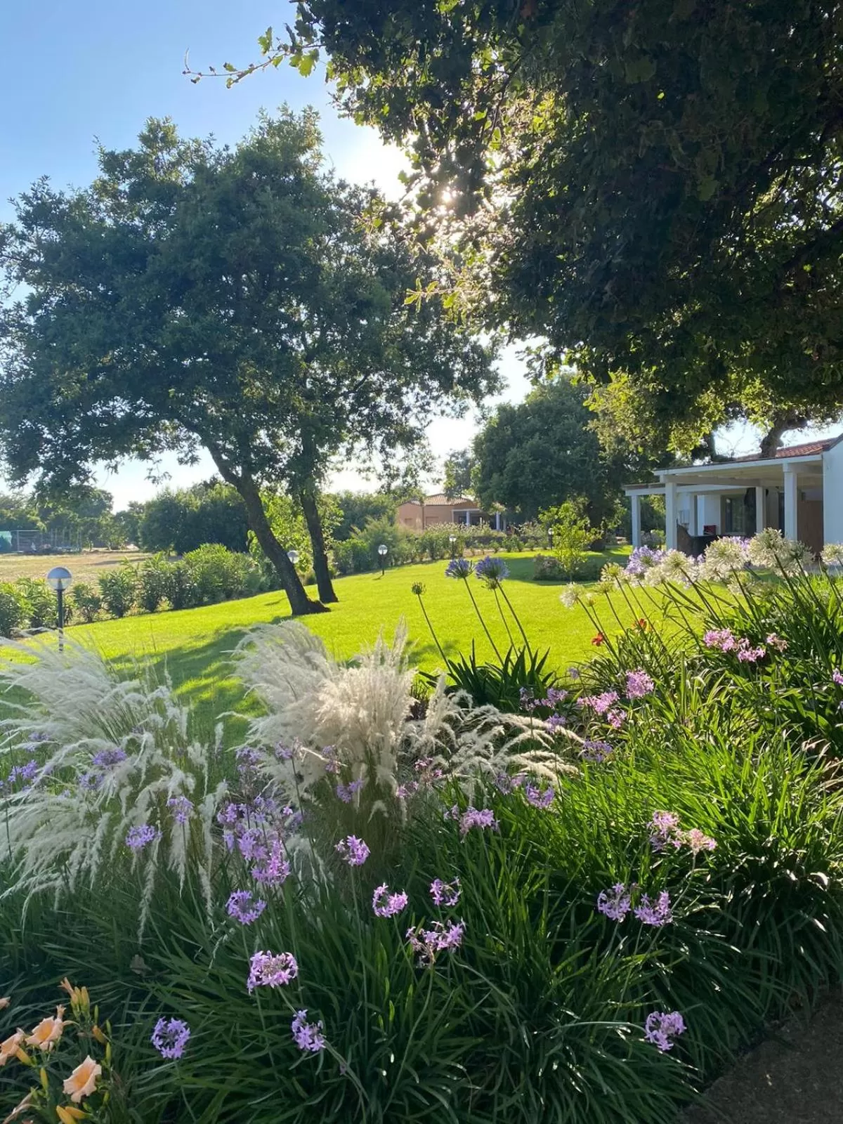 Patio in Regia Hotel