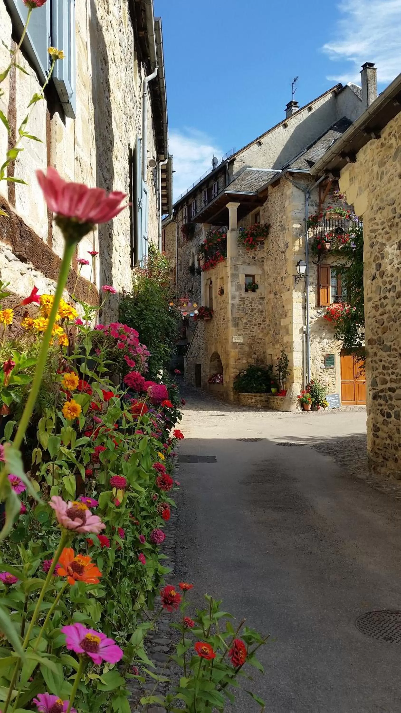Nearby landmark, Property Building in Chateau Ricard