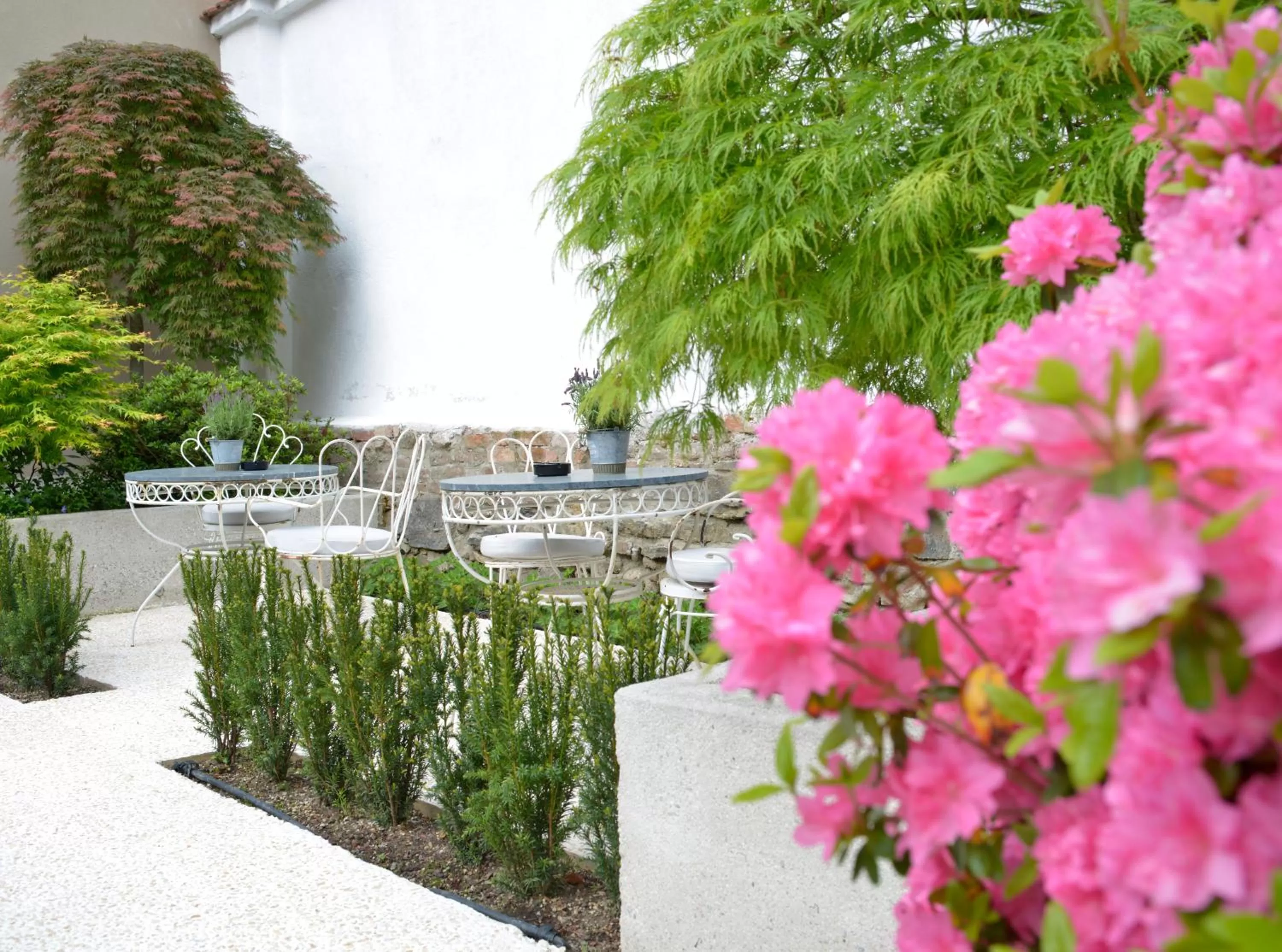 Garden in Hotel Maribor & Garden Rooms