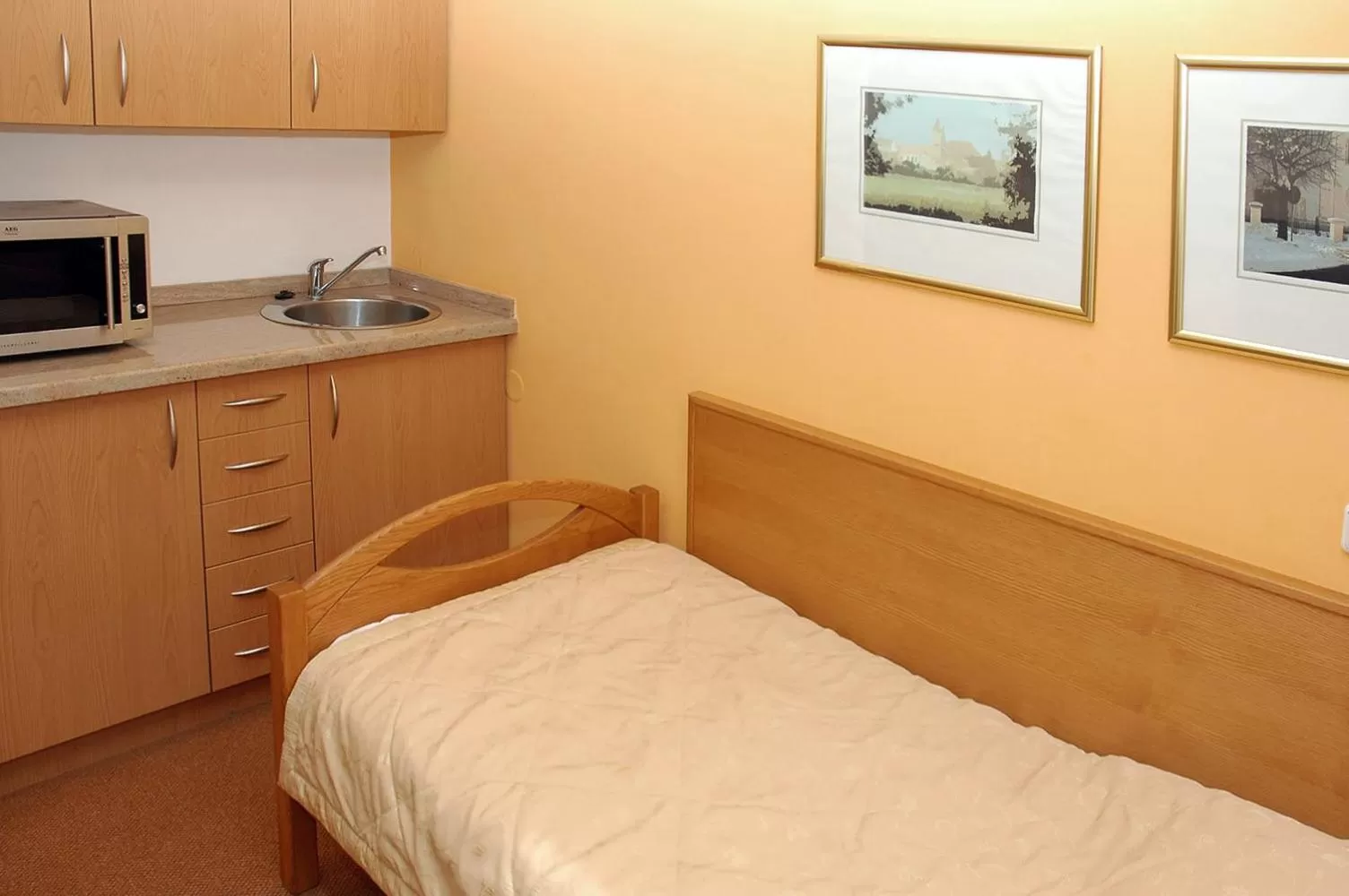 Kitchen/Kitchenette in Hotel Restaurant Modrá Hvězda