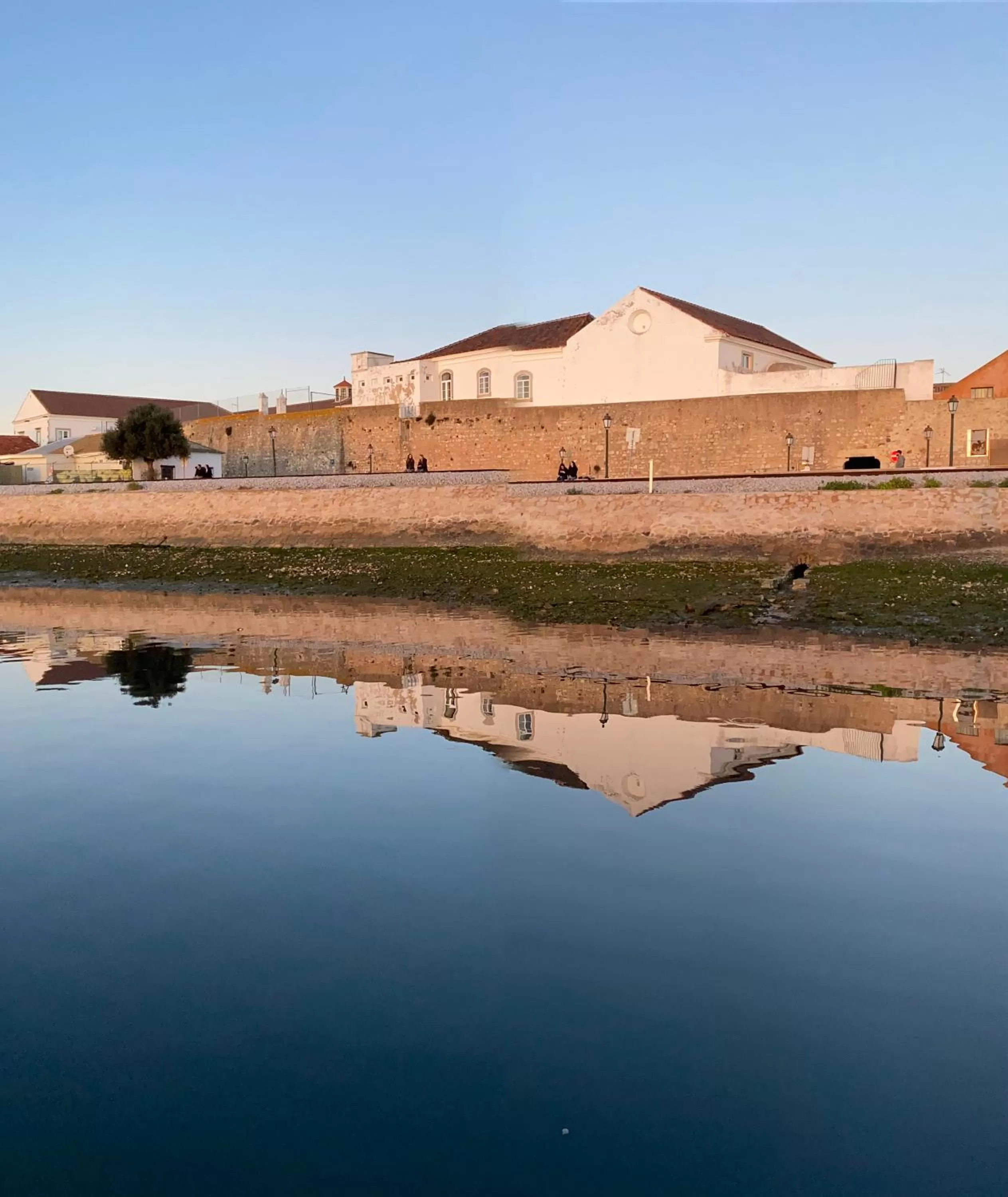 Natural landscape in Casa Saudade luxury rooms