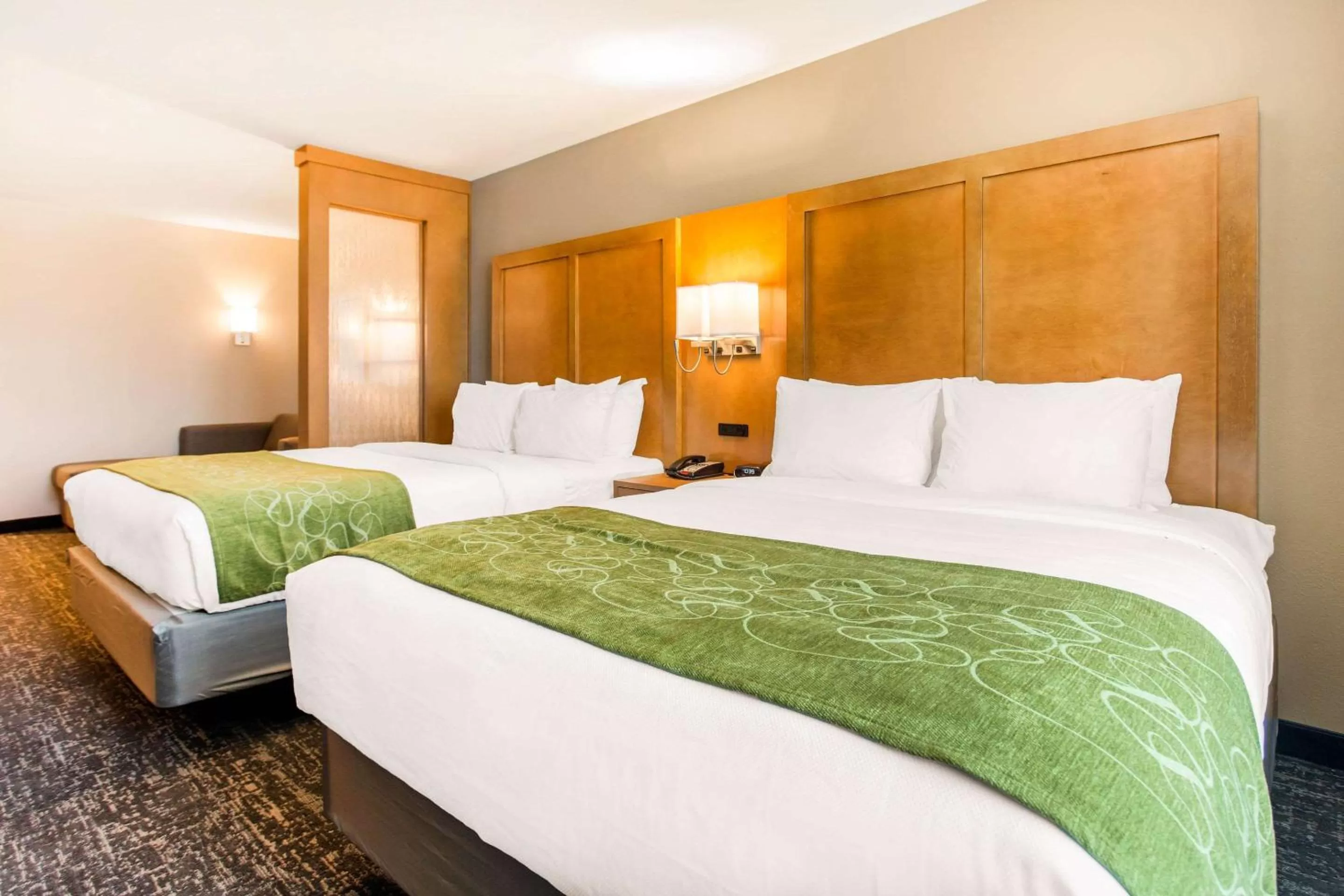 Photo of the whole room, Bed in Comfort Suites North Charleston - Ashley Phosphate