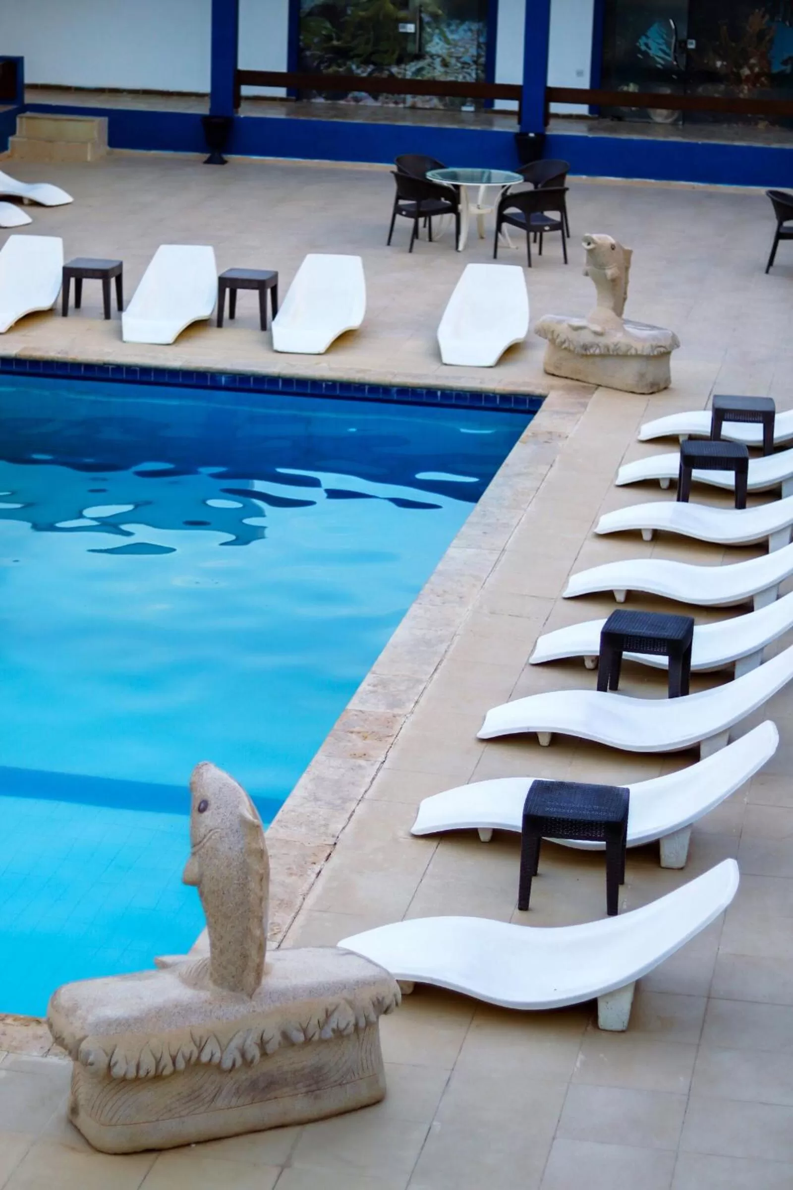 Swimming Pool in Aqaba Adventure Divers Resort & Dive Center