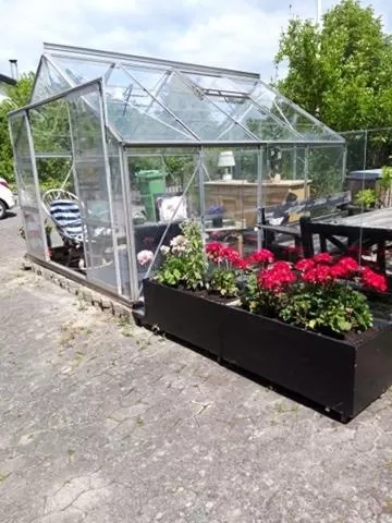 Area and facilities in Villa Wolte Bed and Breakfast