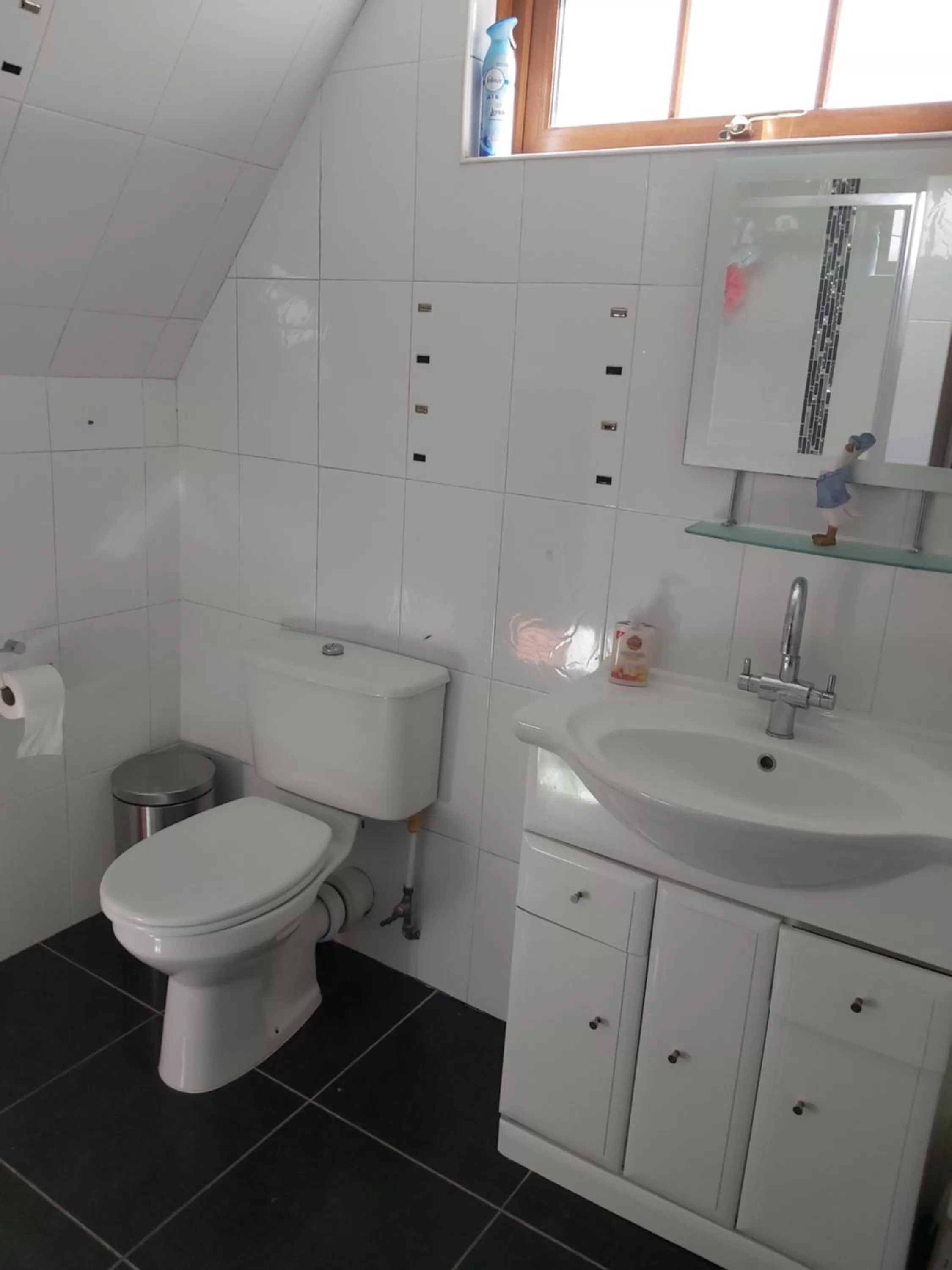 Bathroom in Drumhirk House