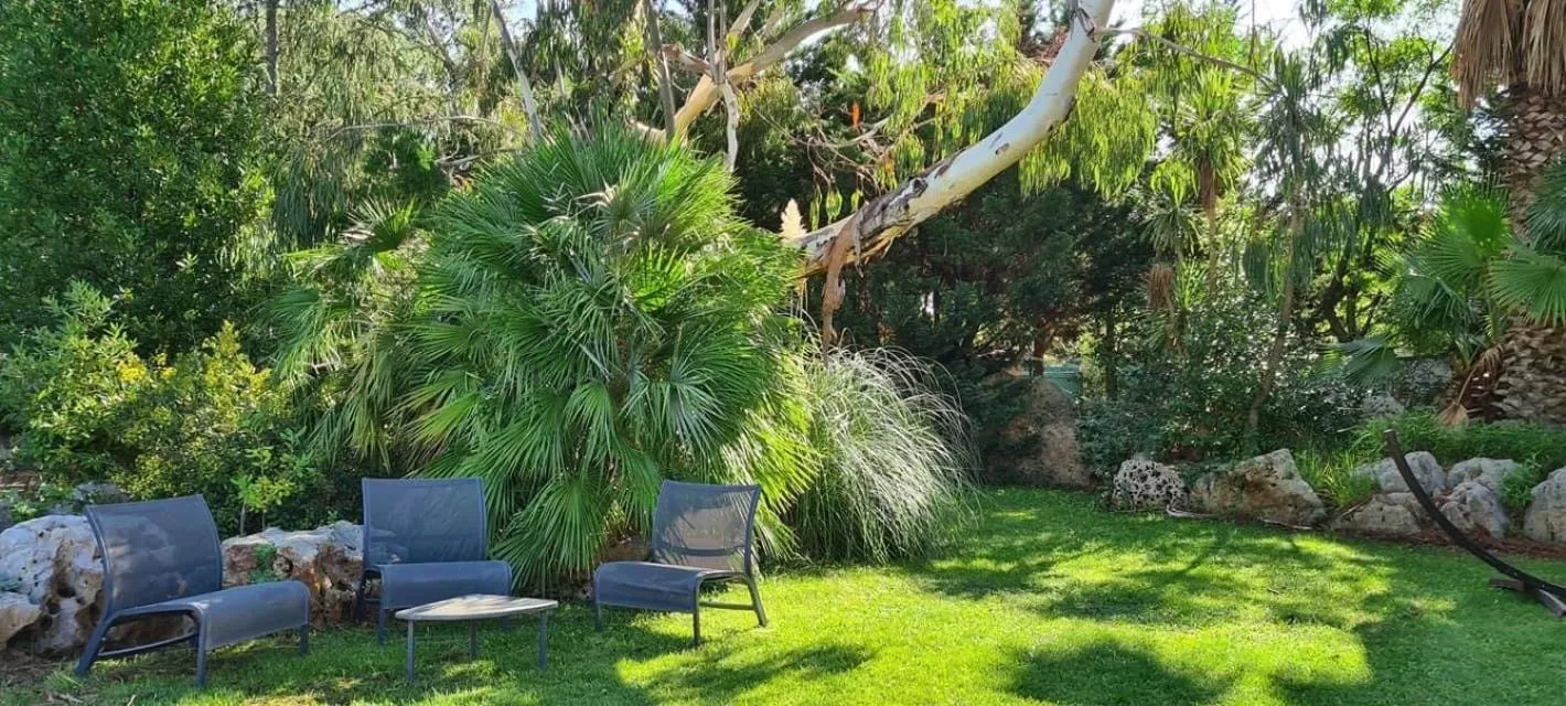 Garden in Entre 2 rives. Entre 2 rêves