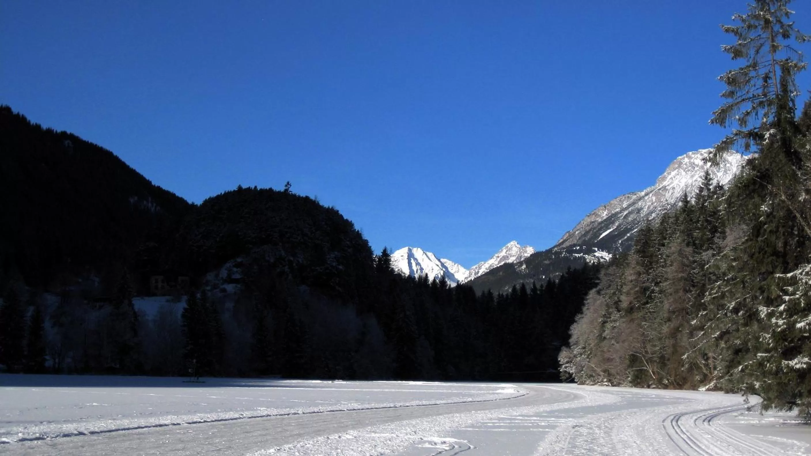 Natural landscape in Seehüter's Hotel Seerose