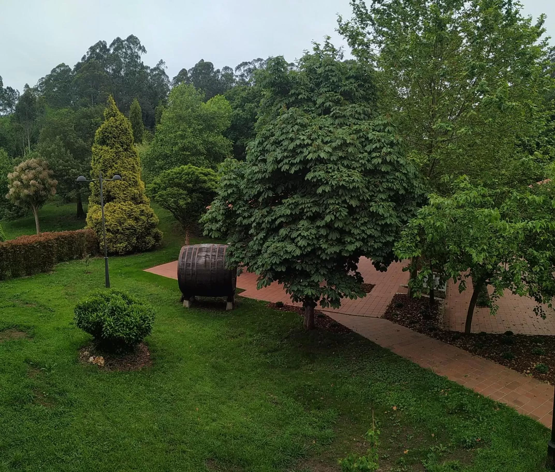Garden view in HOTEL LA CAMPANA
